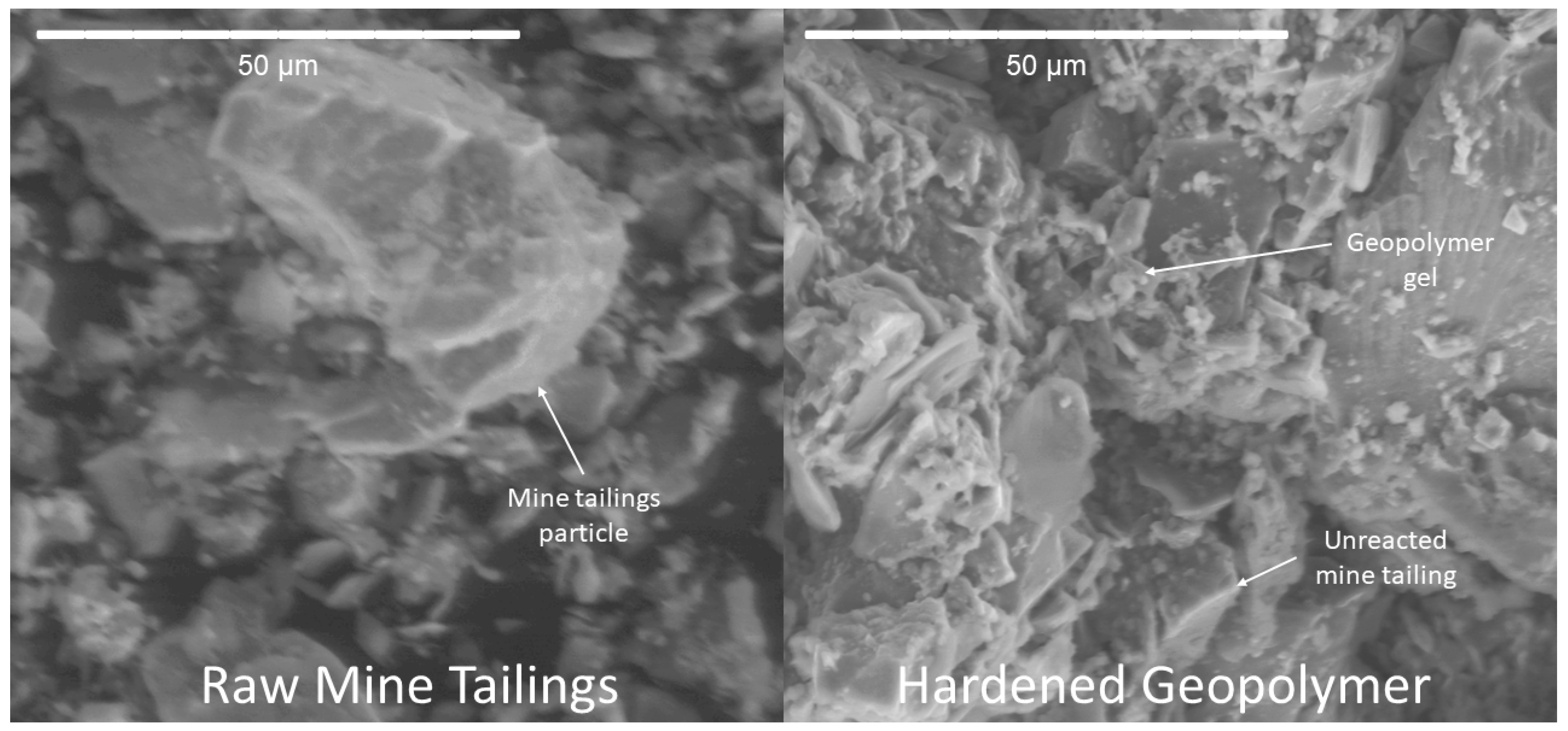 Polymers 16 00957 g012
