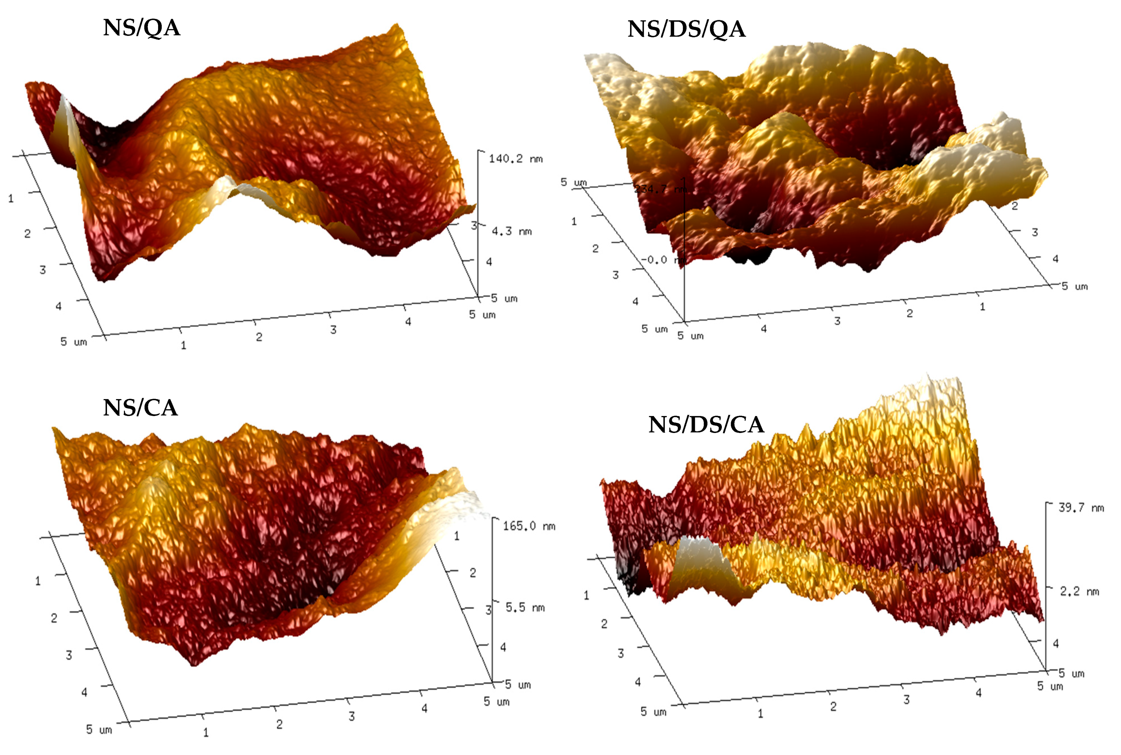 Polymers 16 00958 g005