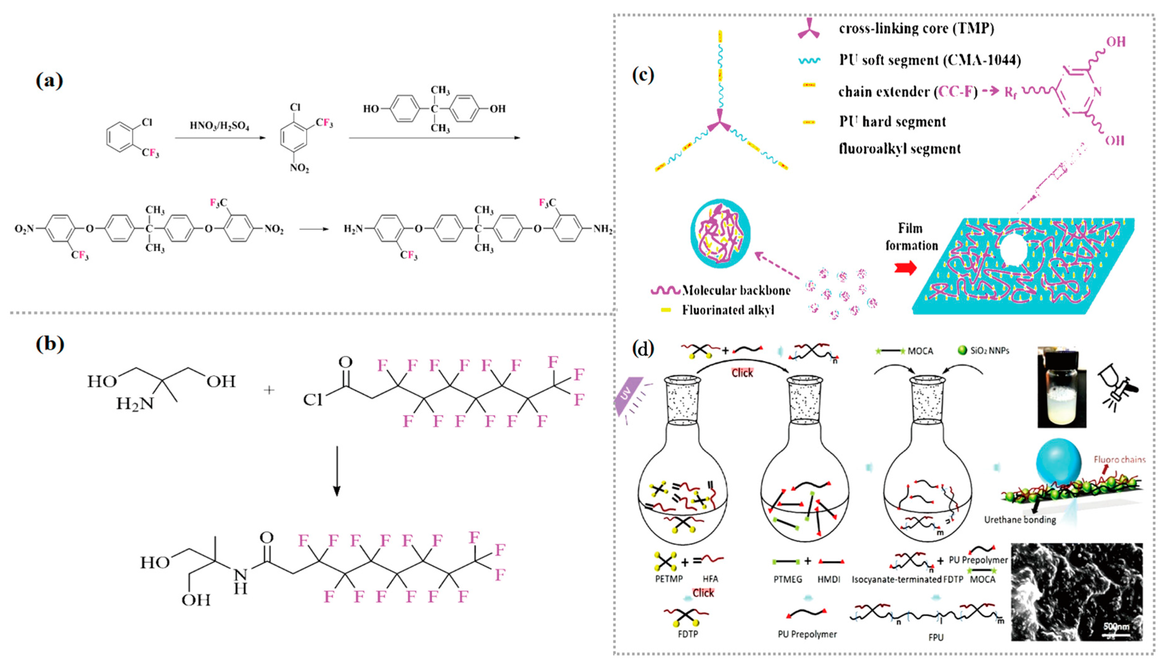 Polymers 16 00959 g007