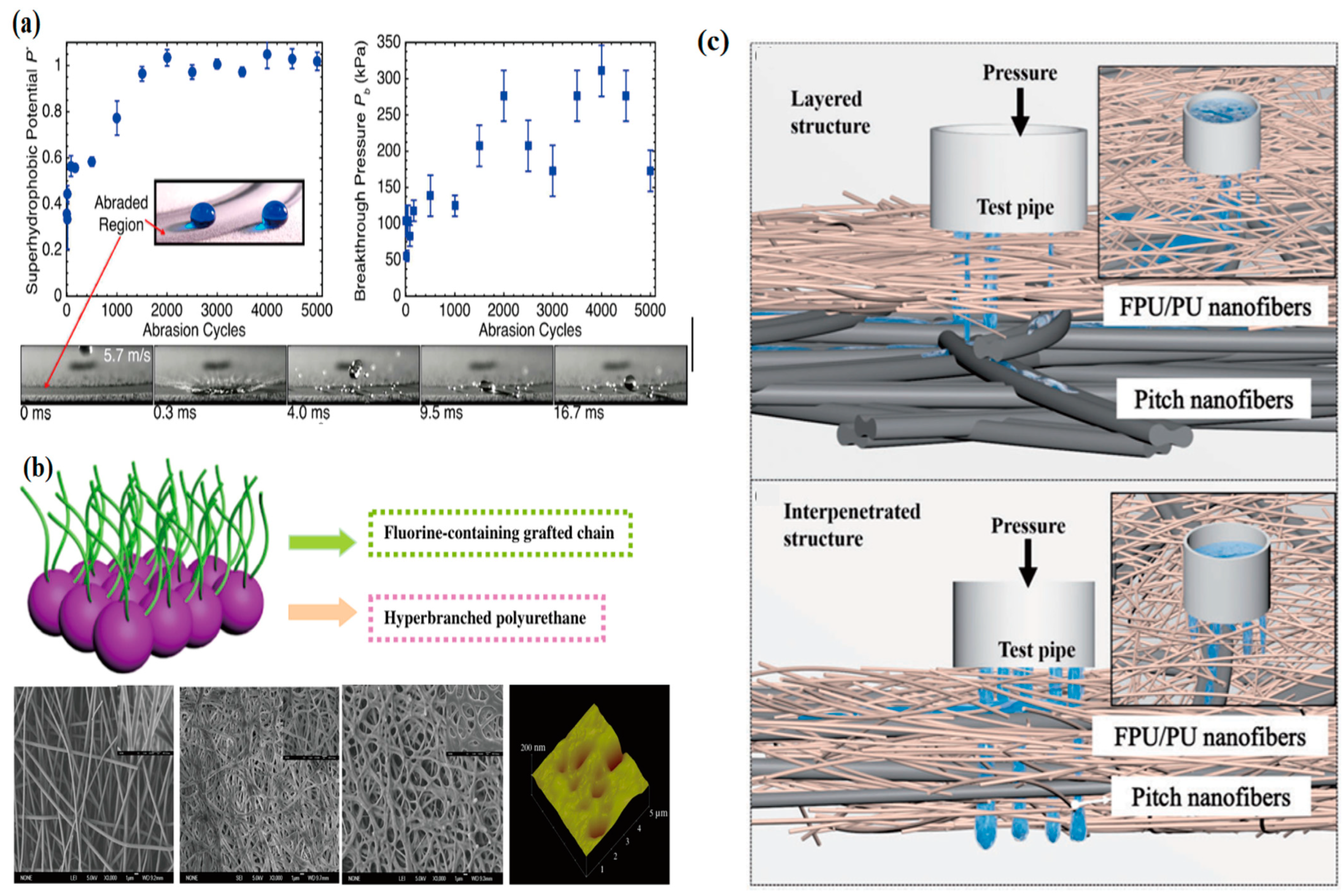 Polymers 16 00959 g013