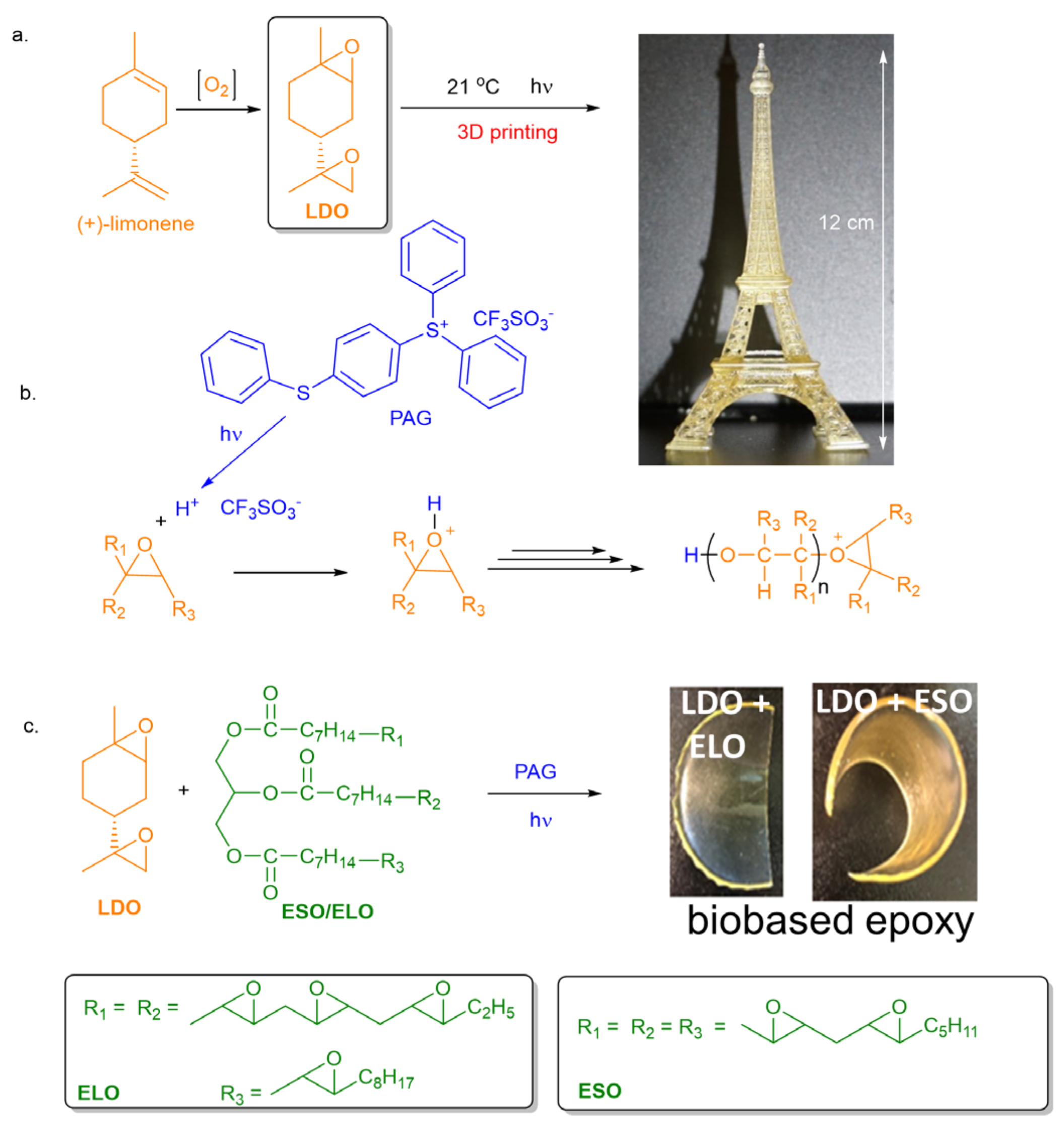 Polymers 16 00965 g001