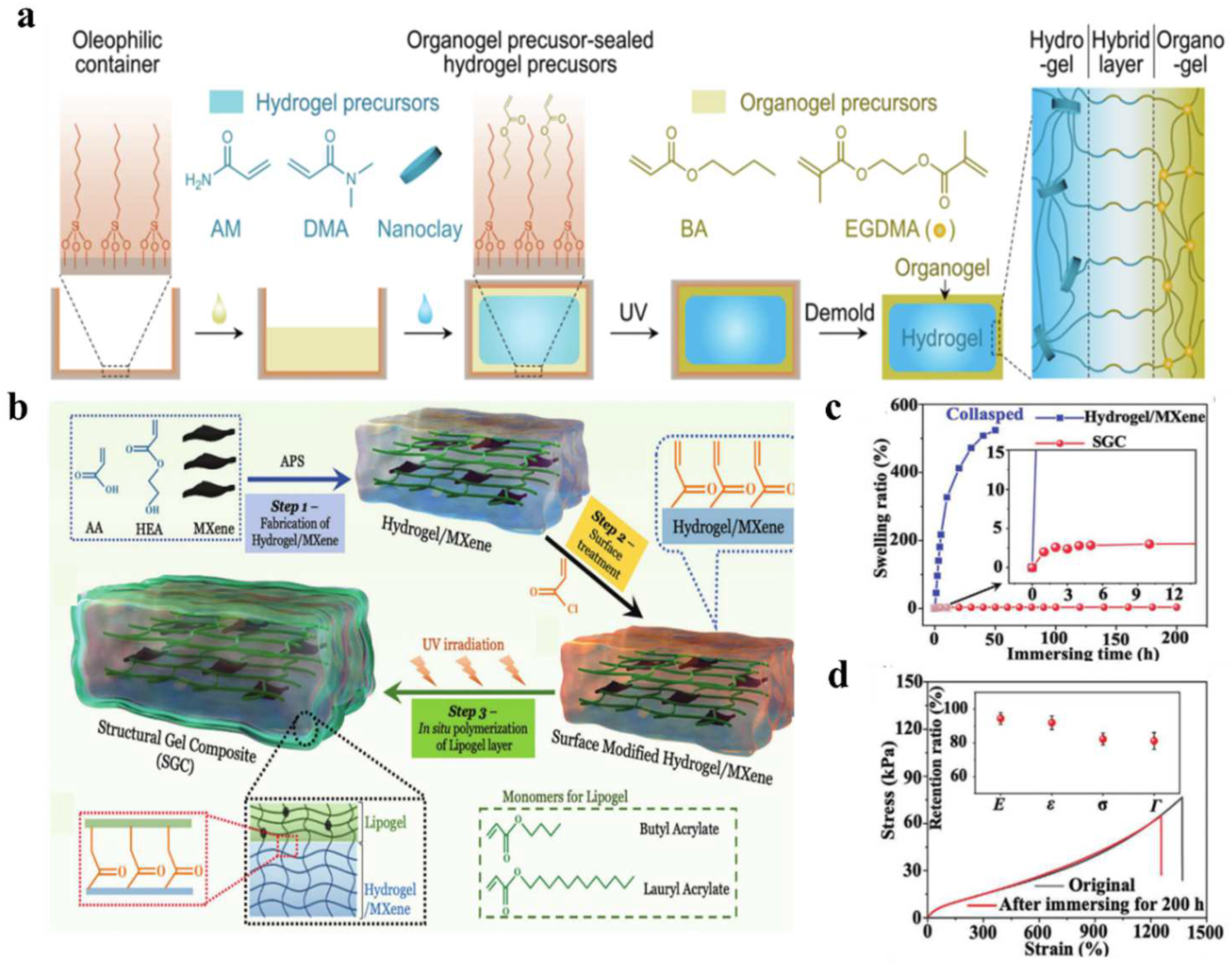 Polymers 16 00971 g004