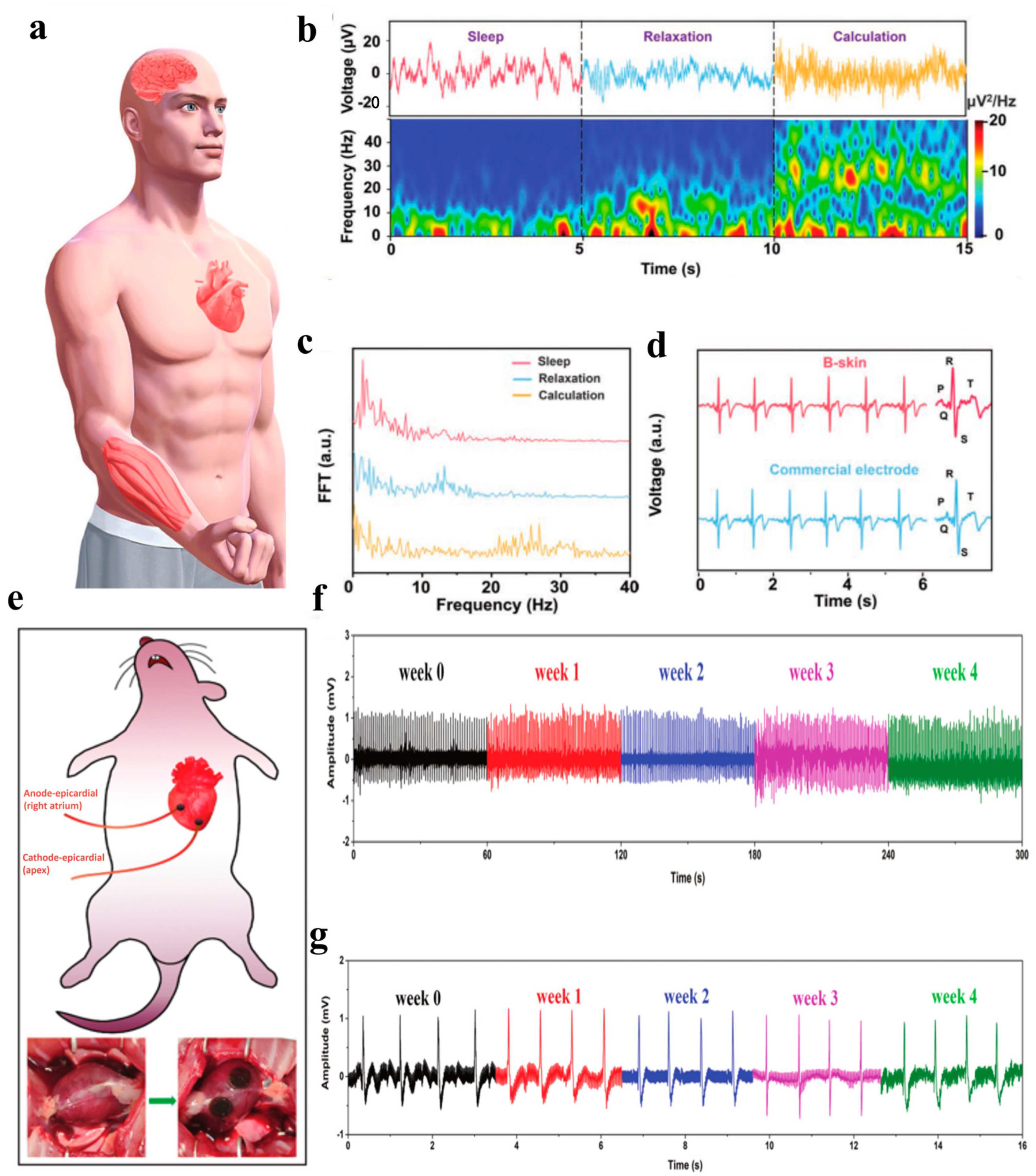 Polymers 16 00971 g010