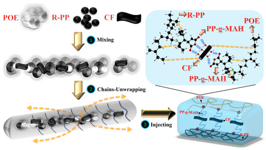 Carbon Fiber Reinforced Recycled Polypropylene/Polyolefin