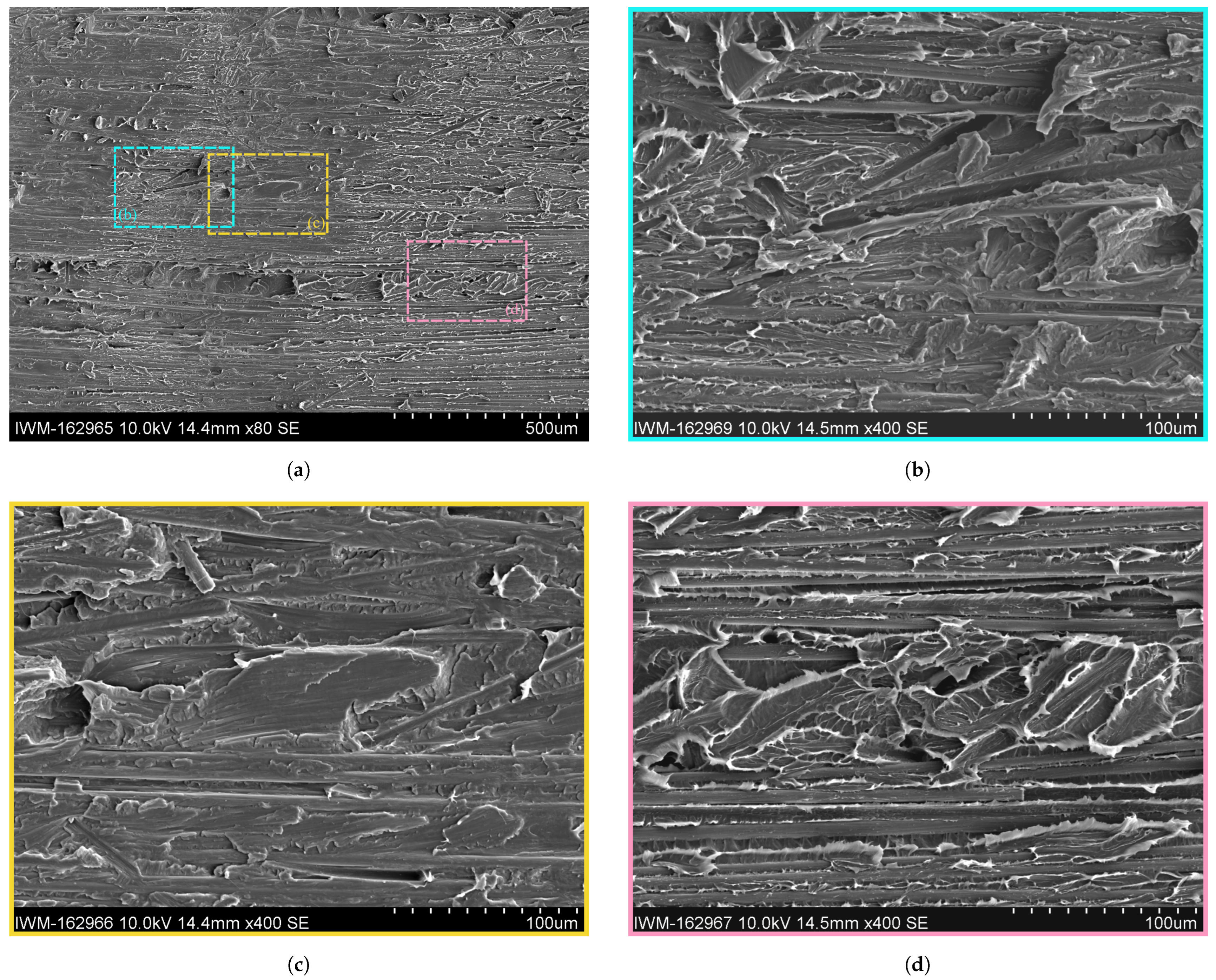 Polymers 16 00976 g013