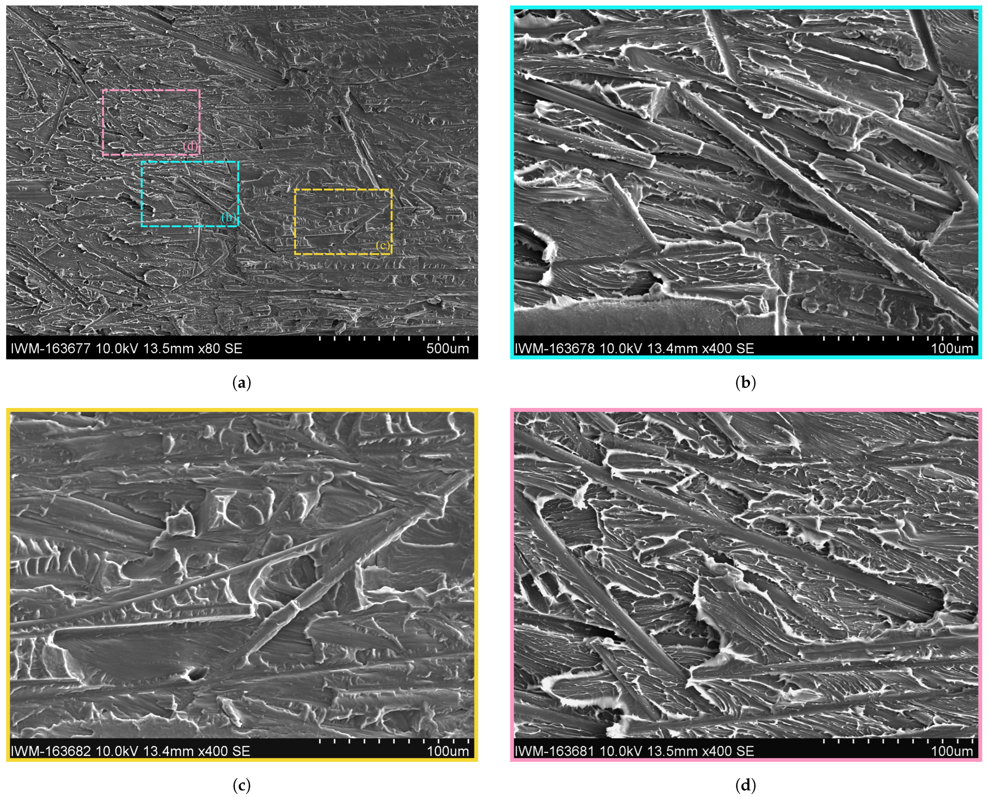 Polymers 16 00976 g014