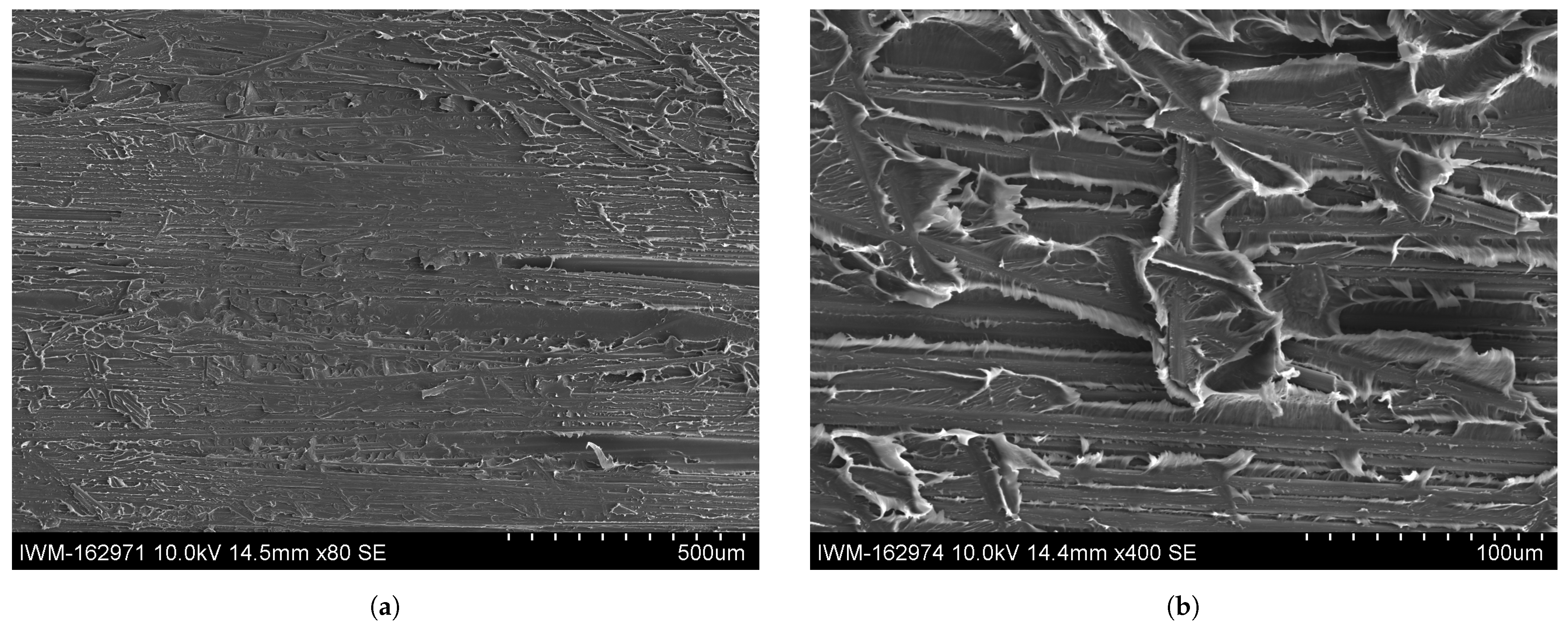 Polymers 16 00976 g015