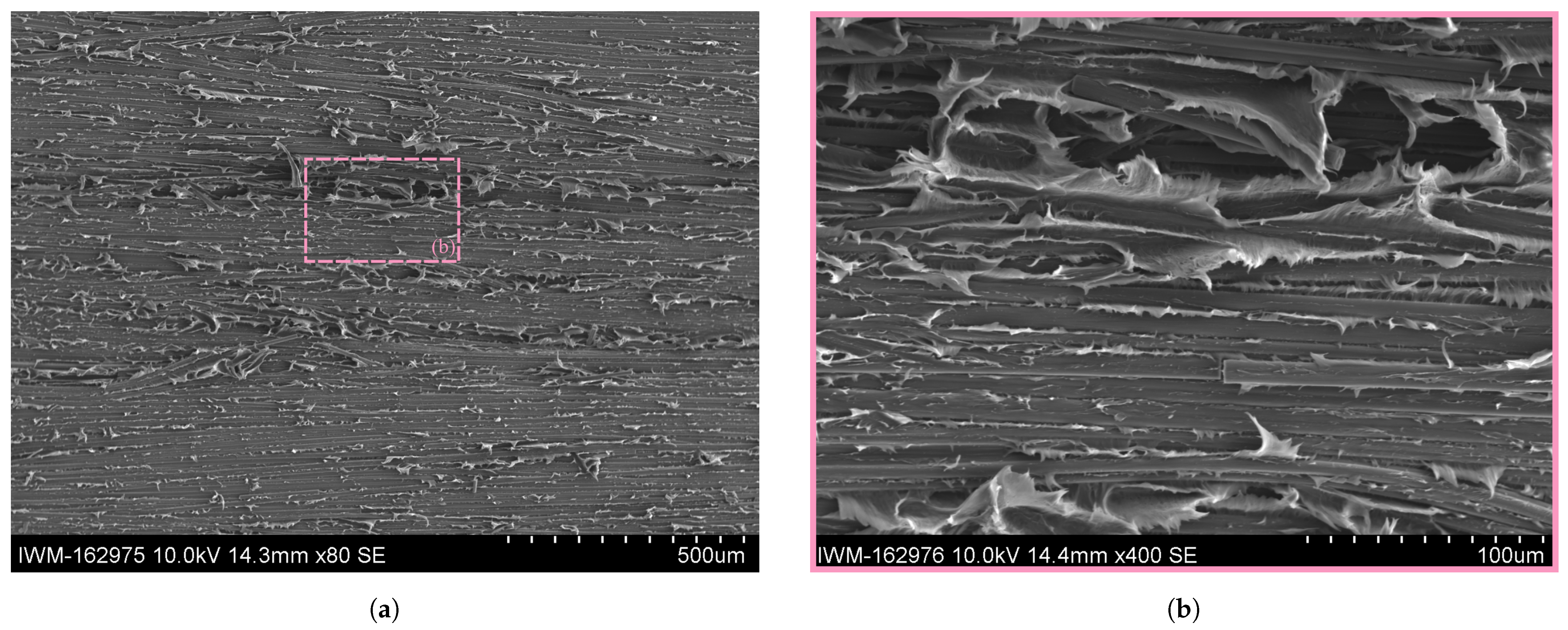 Polymers 16 00976 g016