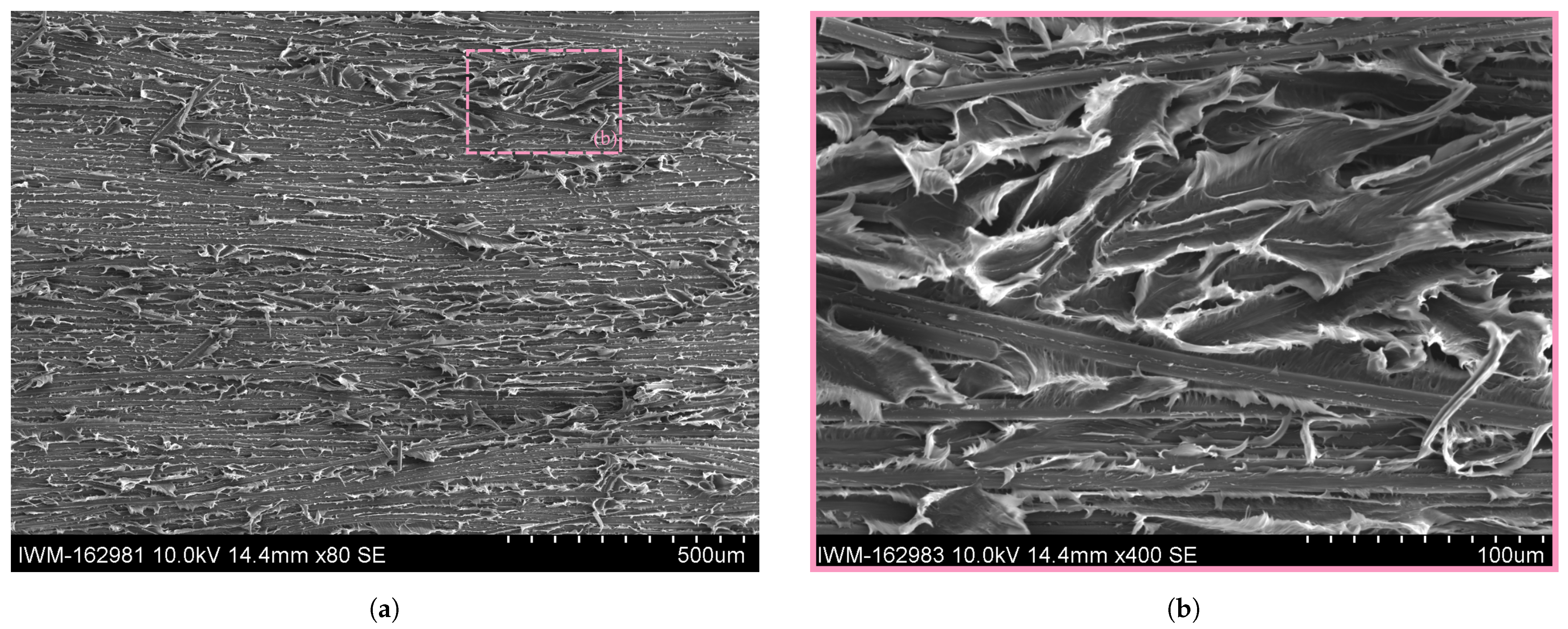 Polymers 16 00976 g017