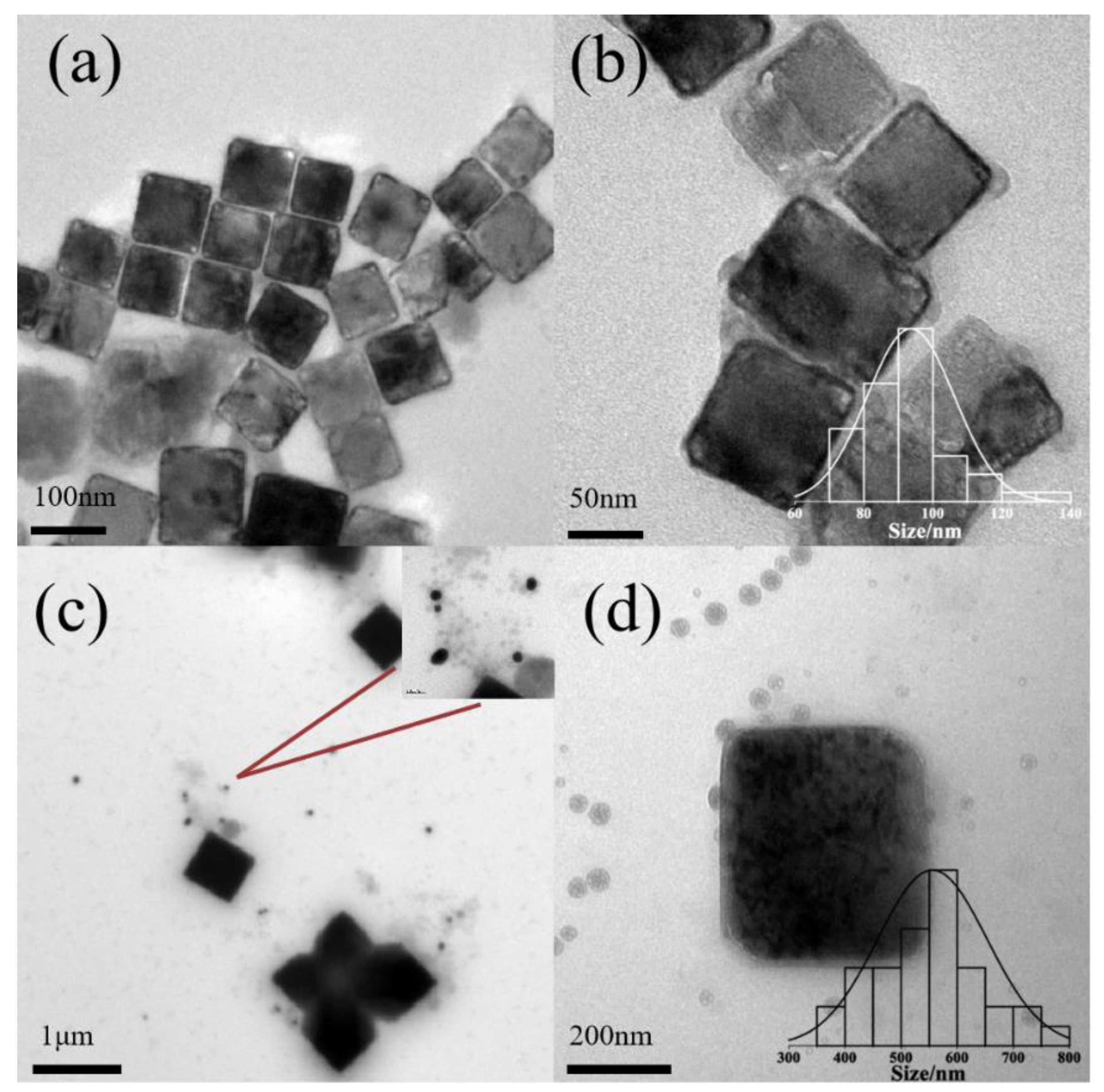 Polymers 16 00982 g003 Polymers 16 00982 g003