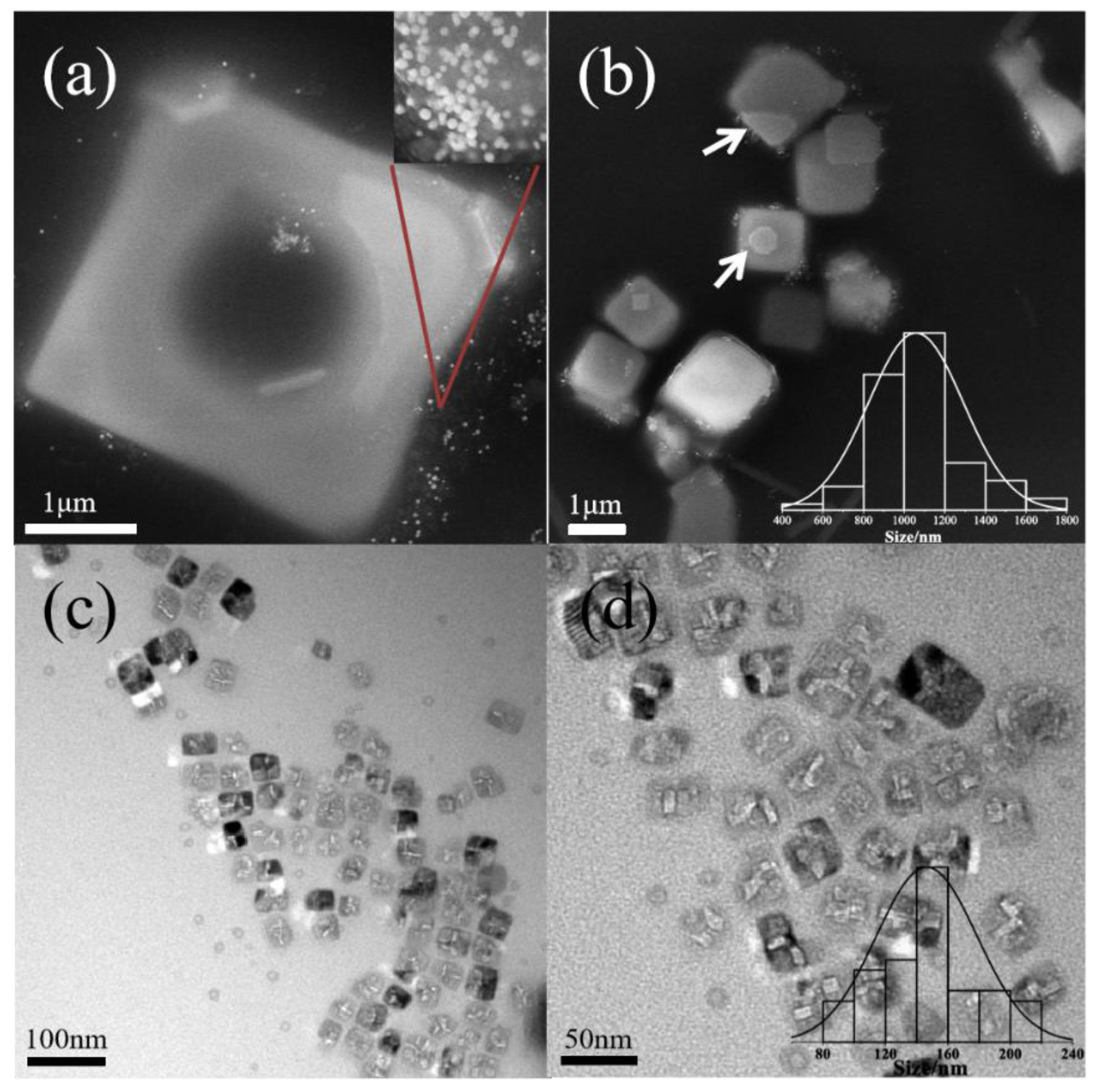 Polymers 16 00982 g004 Polymers 16 00982 g004