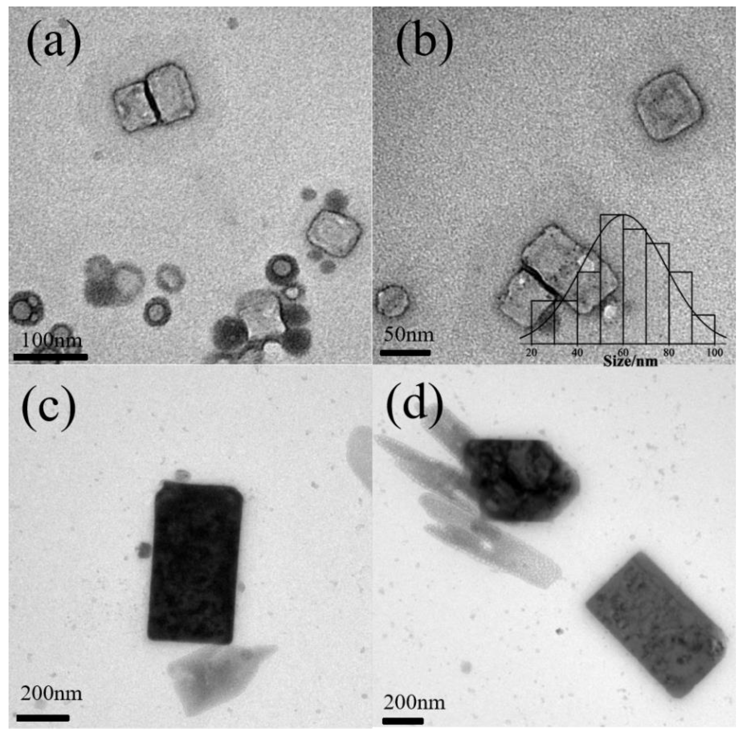 Polymers 16 00982 g005 Polymers 16 00982 g005