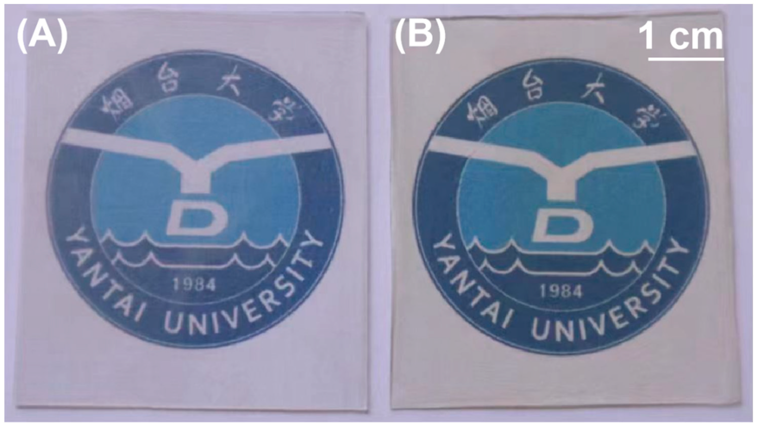 Polymers 16 00983 g002