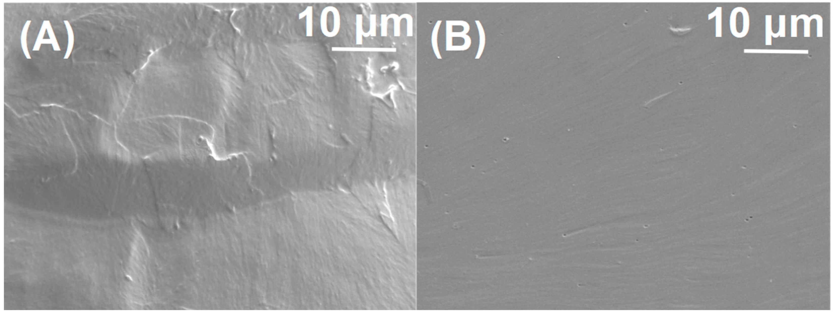 Polymers 16 00983 g003