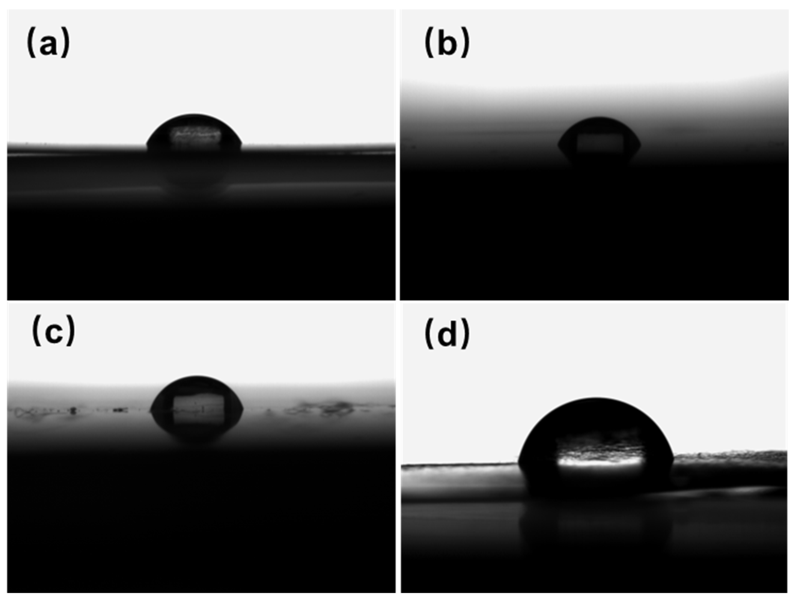 Polymers 16 00984 g006