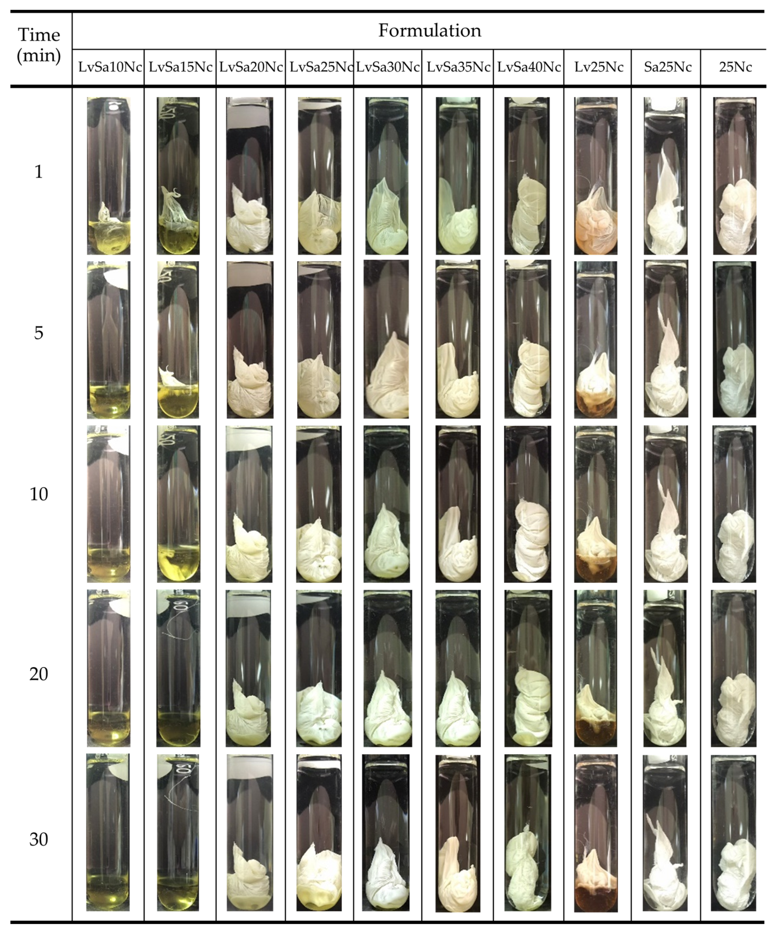 Polymers 16 00989 g003