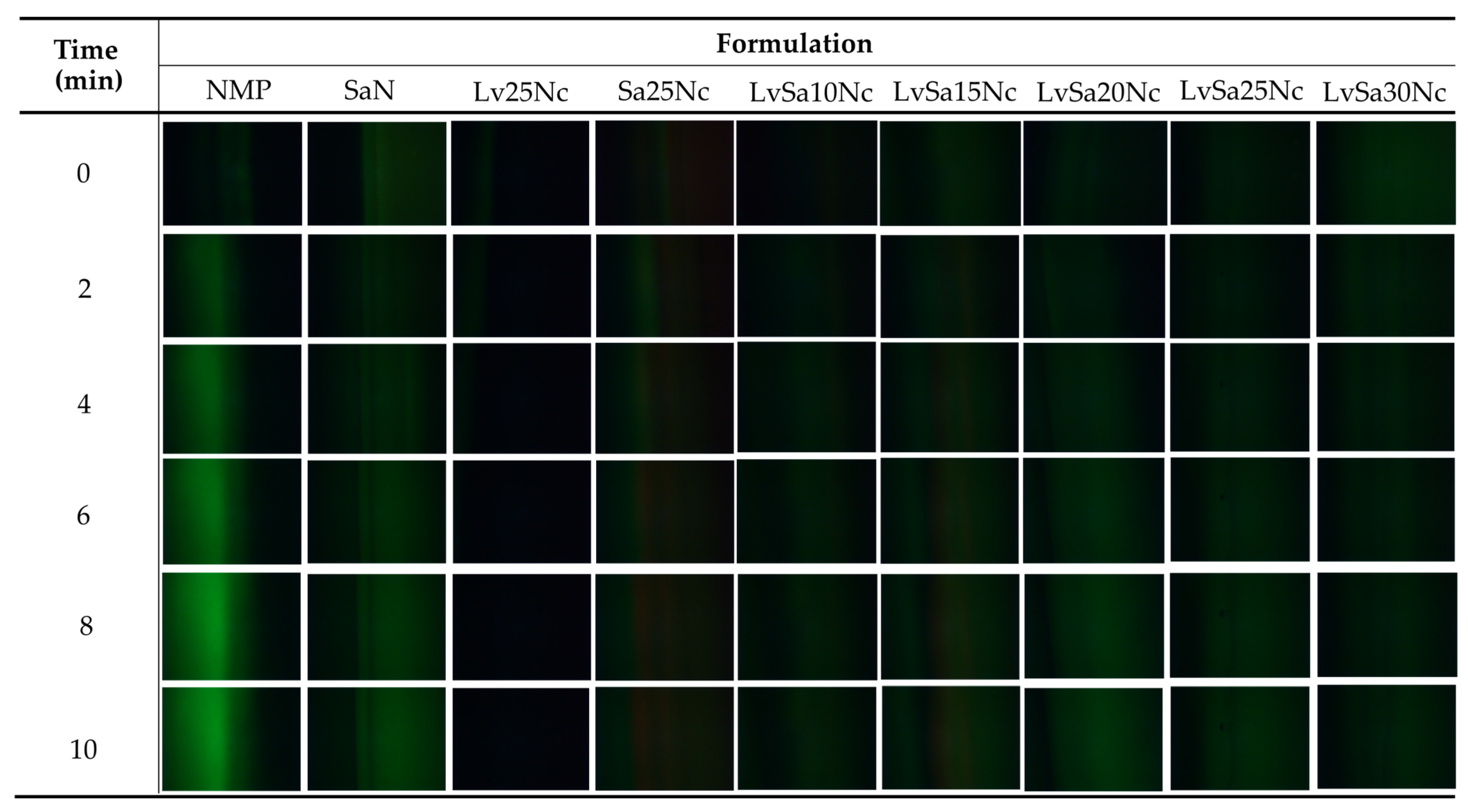 Polymers 16 00989 g006