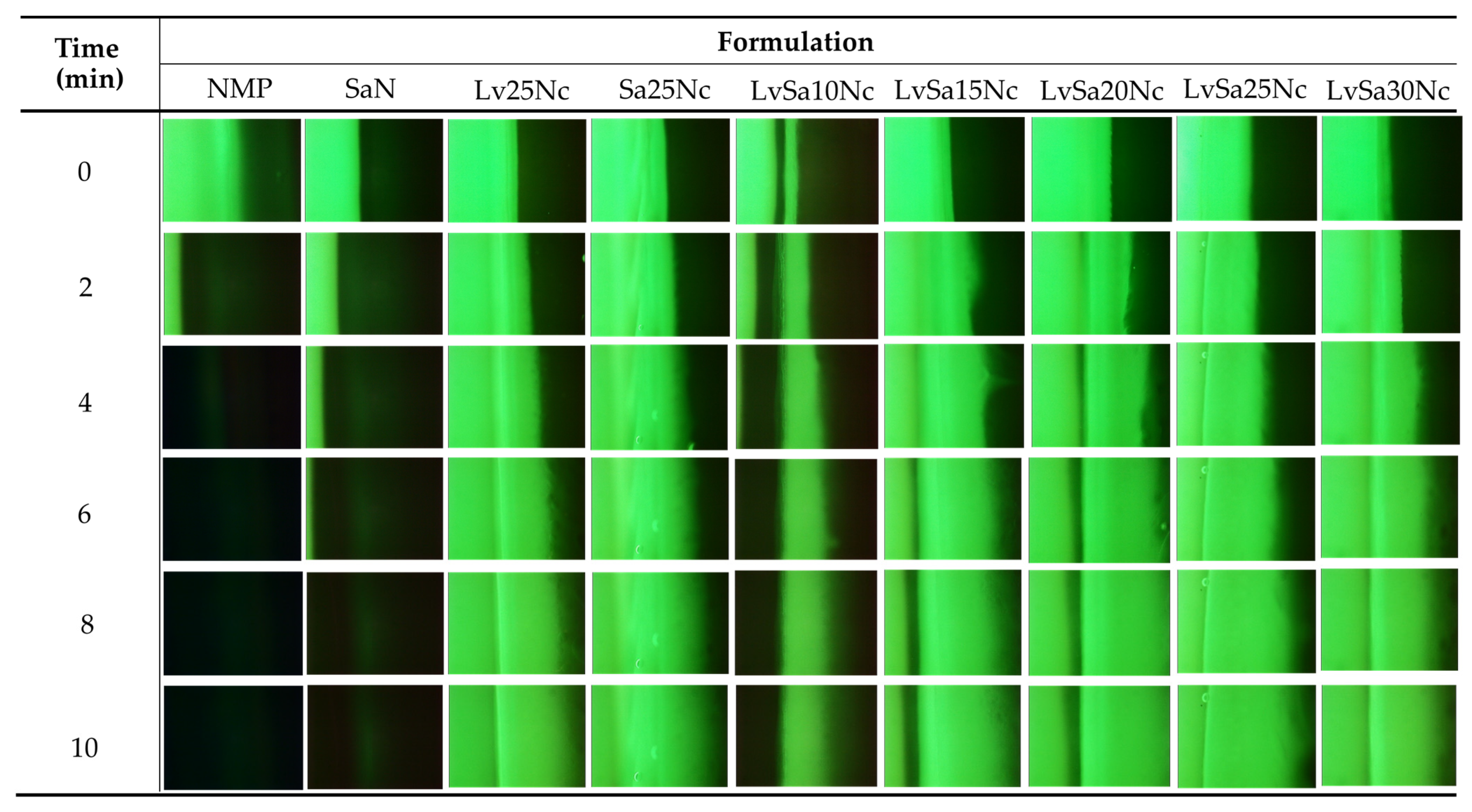 Polymers 16 00989 g007