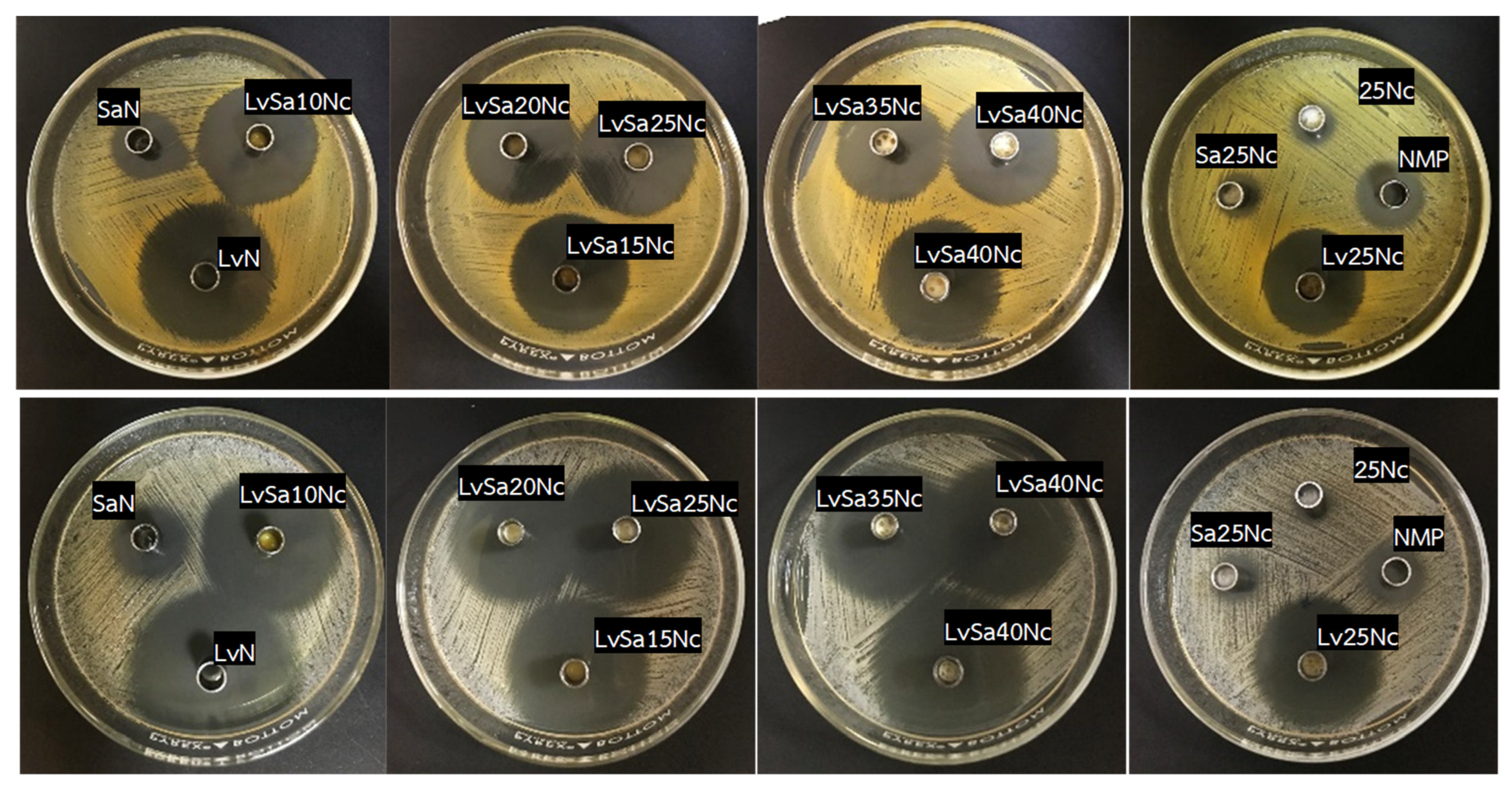 Polymers 16 00989 g012