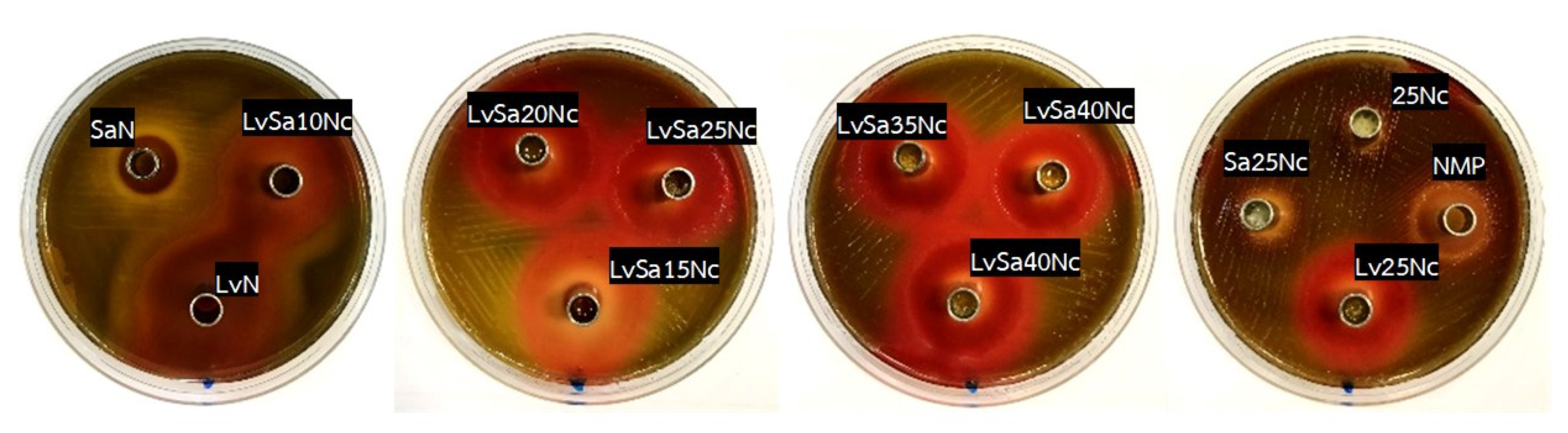 Polymers 16 00989 g014