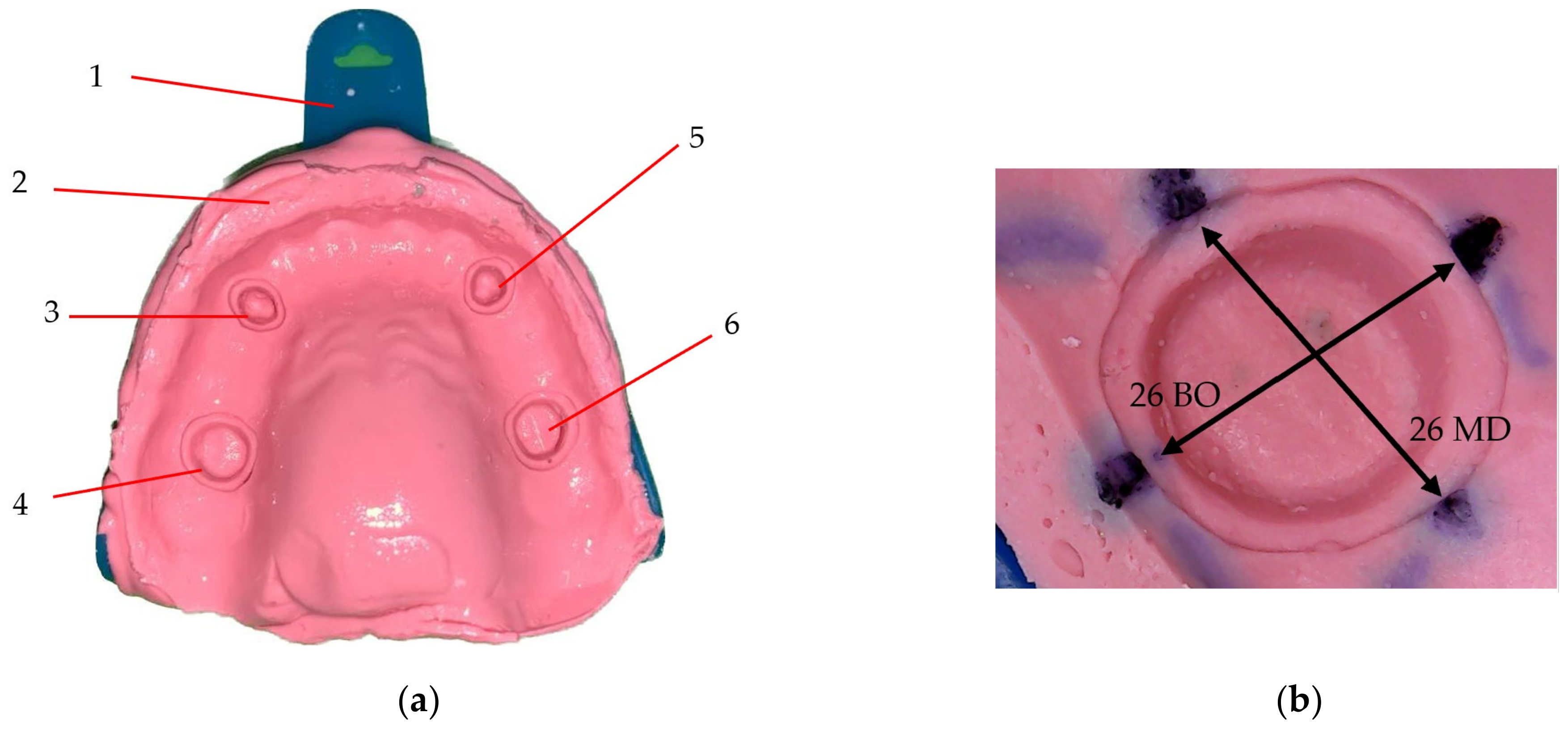 Polymers 16 00994 g003 Polymers 16 00994 g003