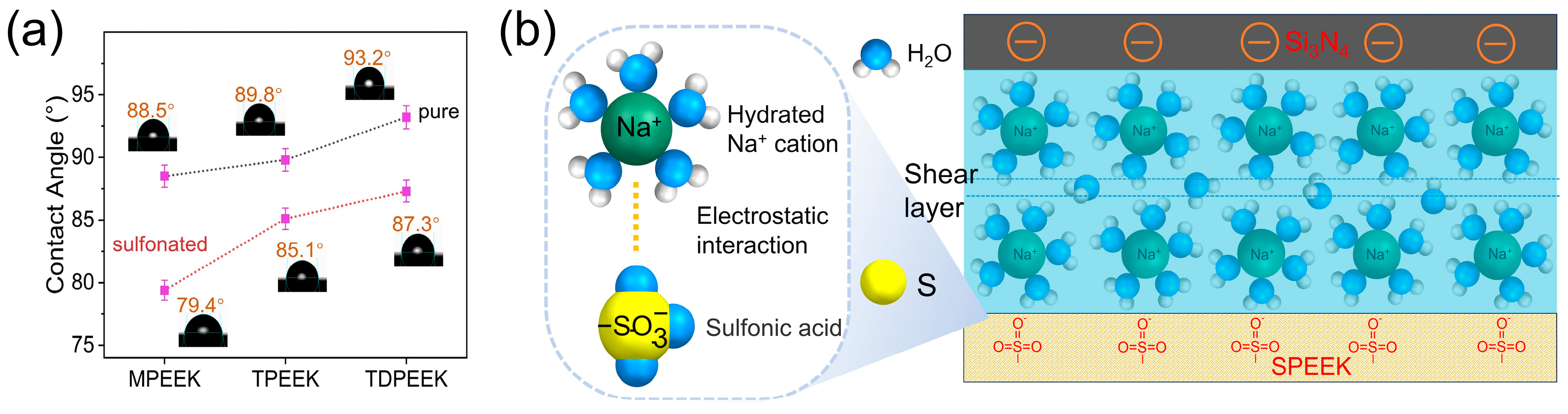 Polymers 16 00998 g008