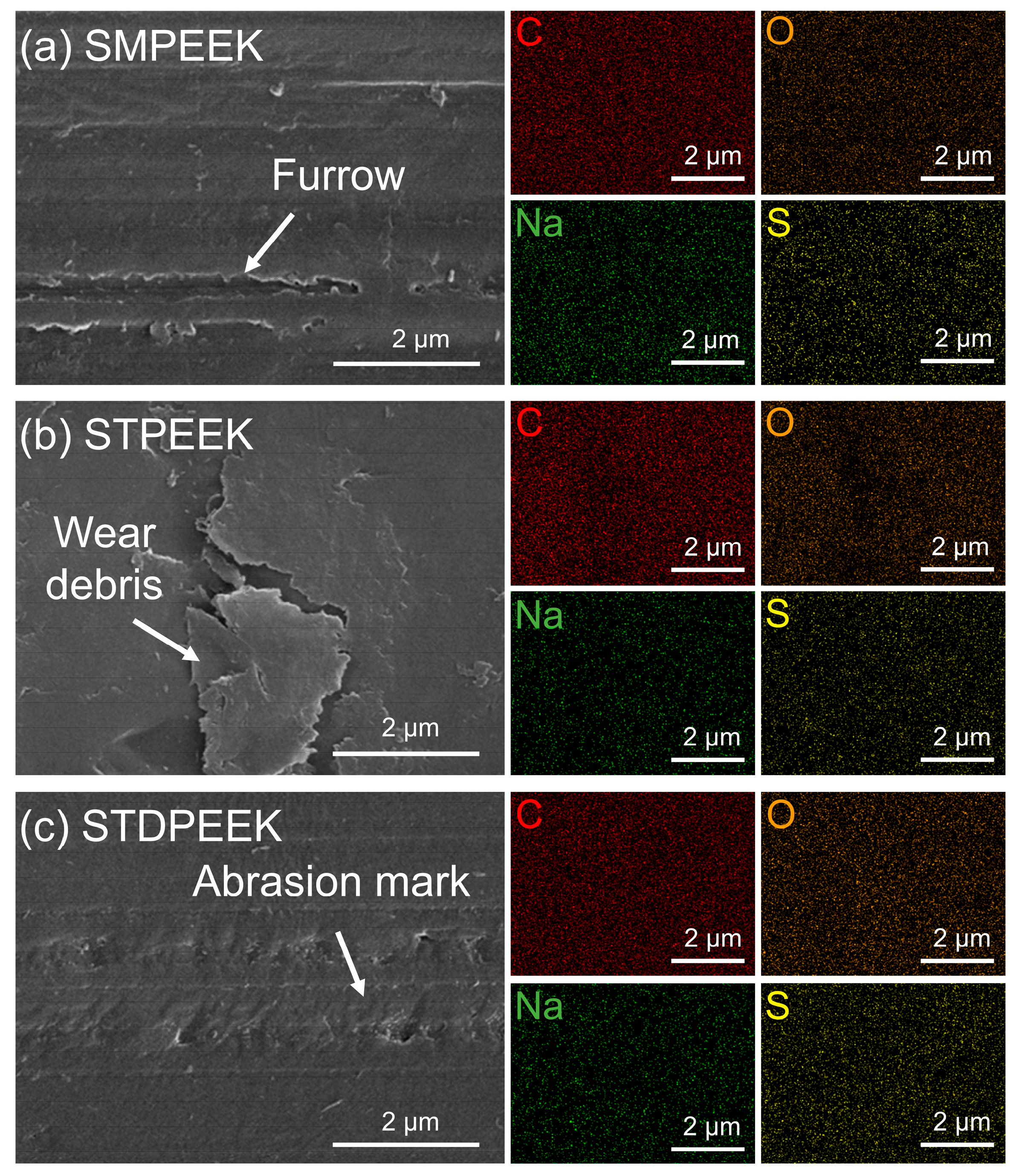 Polymers 16 00998 g009