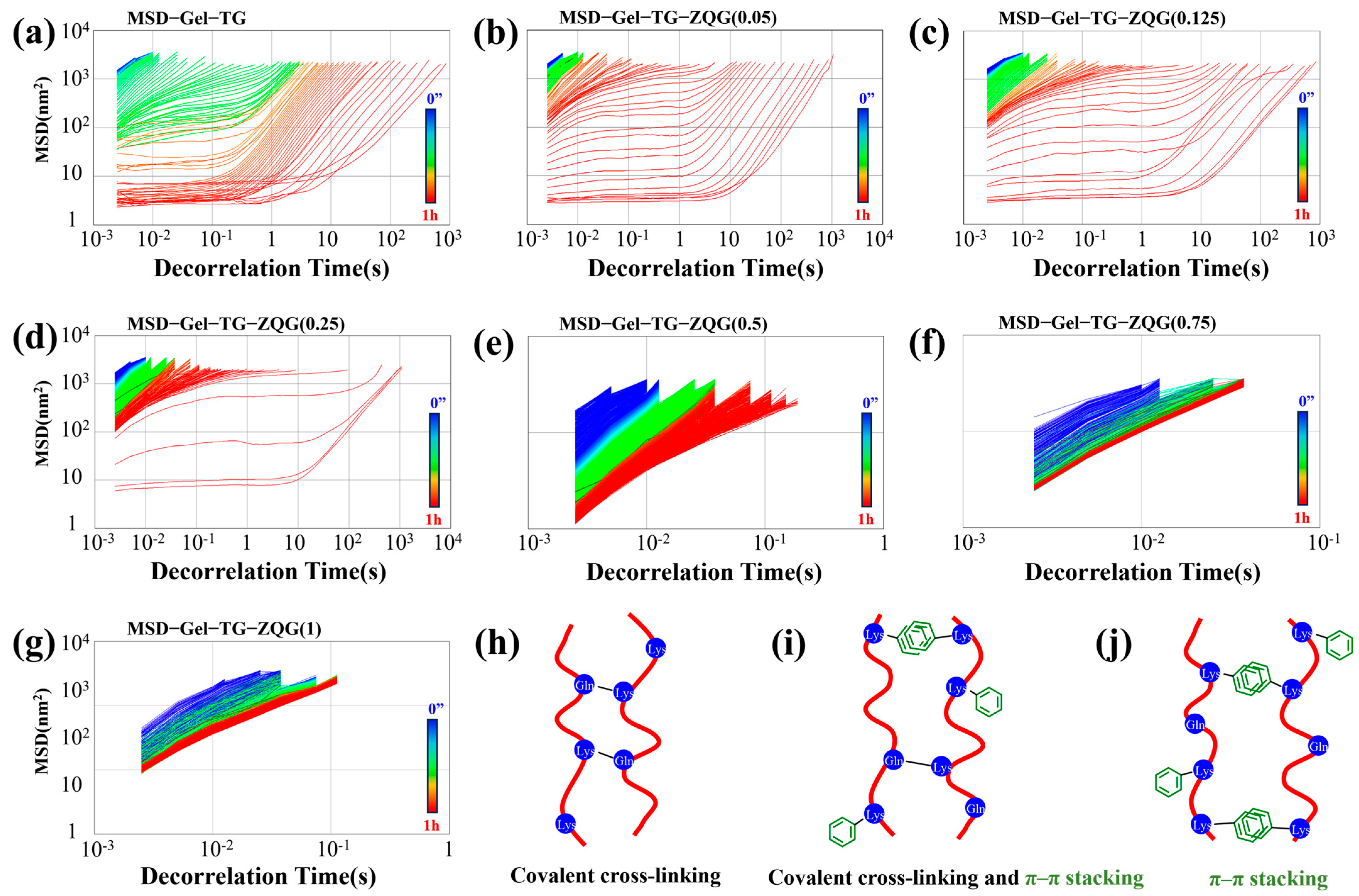 Polymers 16 00999 g002
