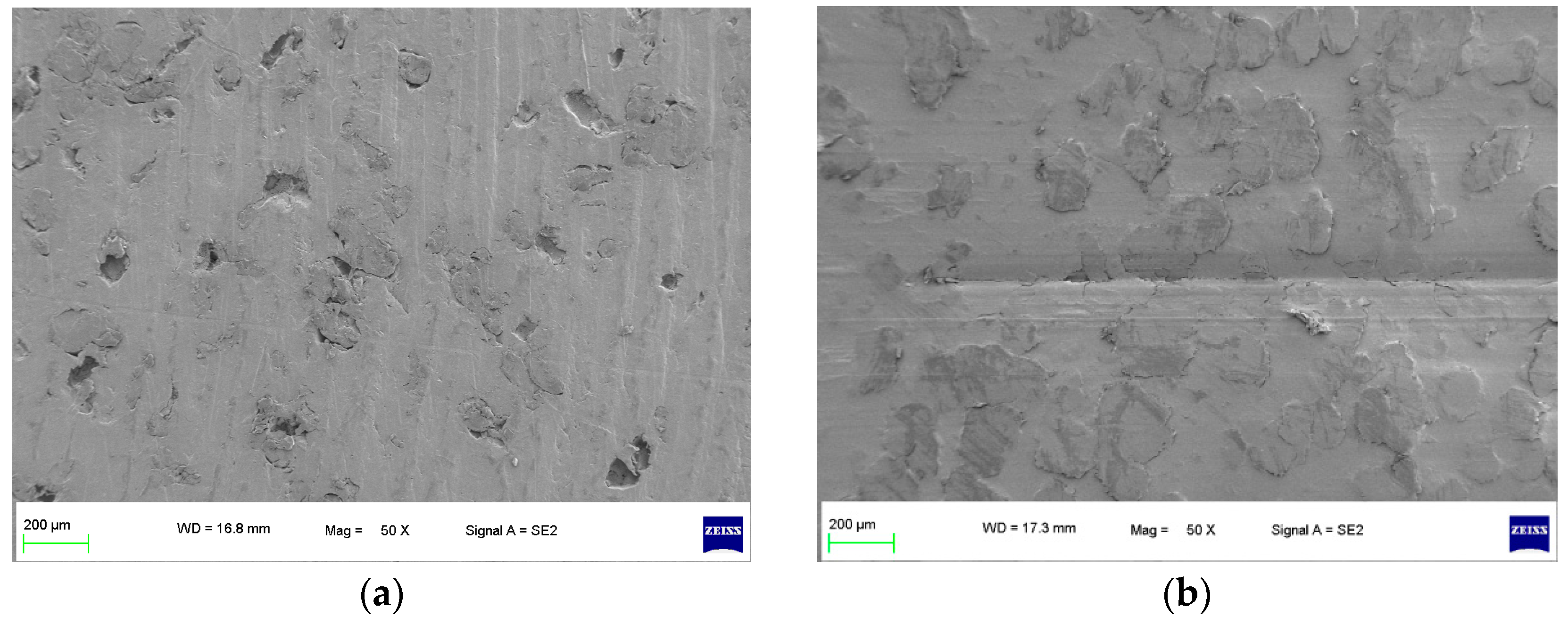 Polymers 16 01000 g002
