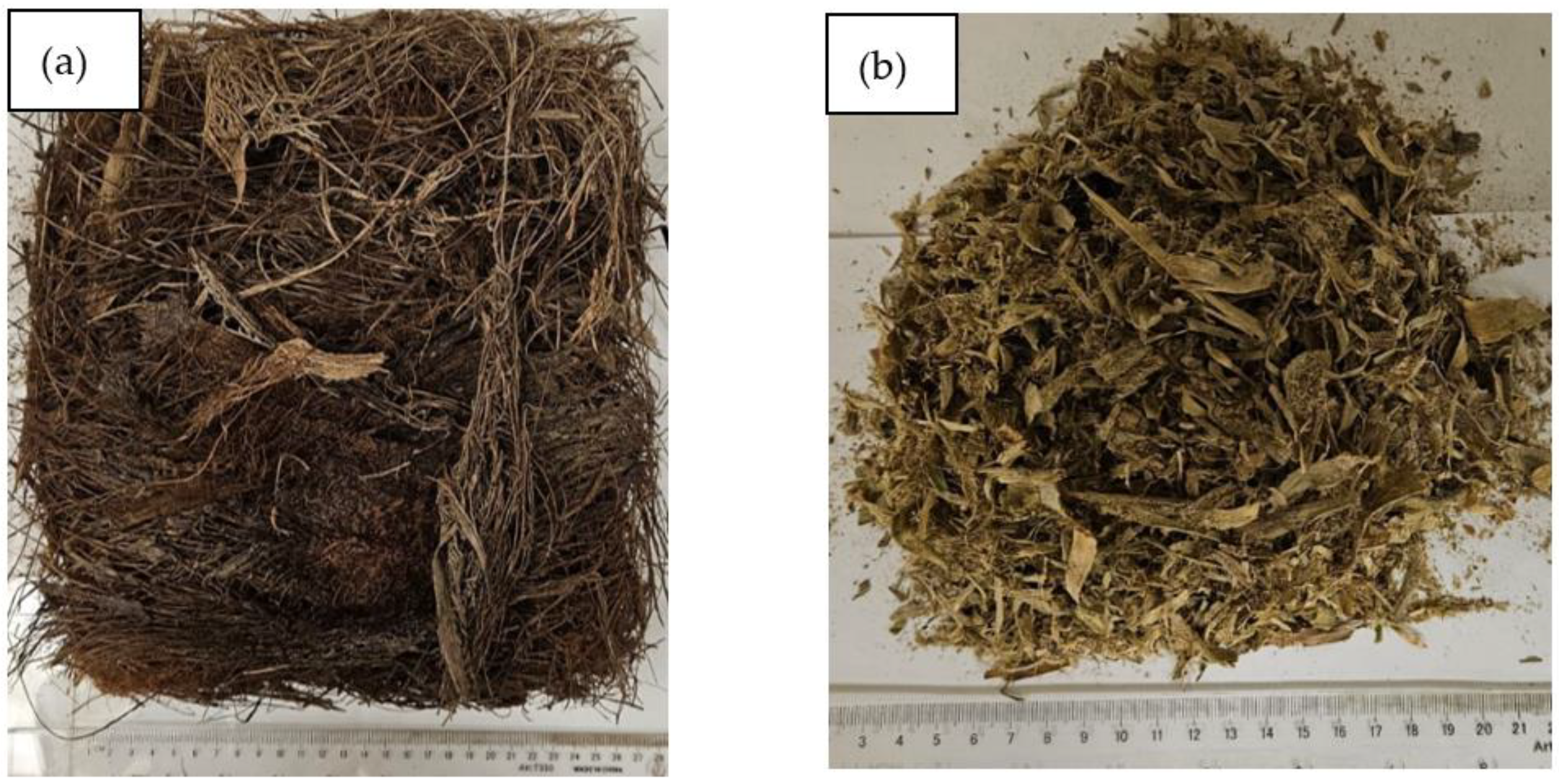 Polymers 16 01002 g001