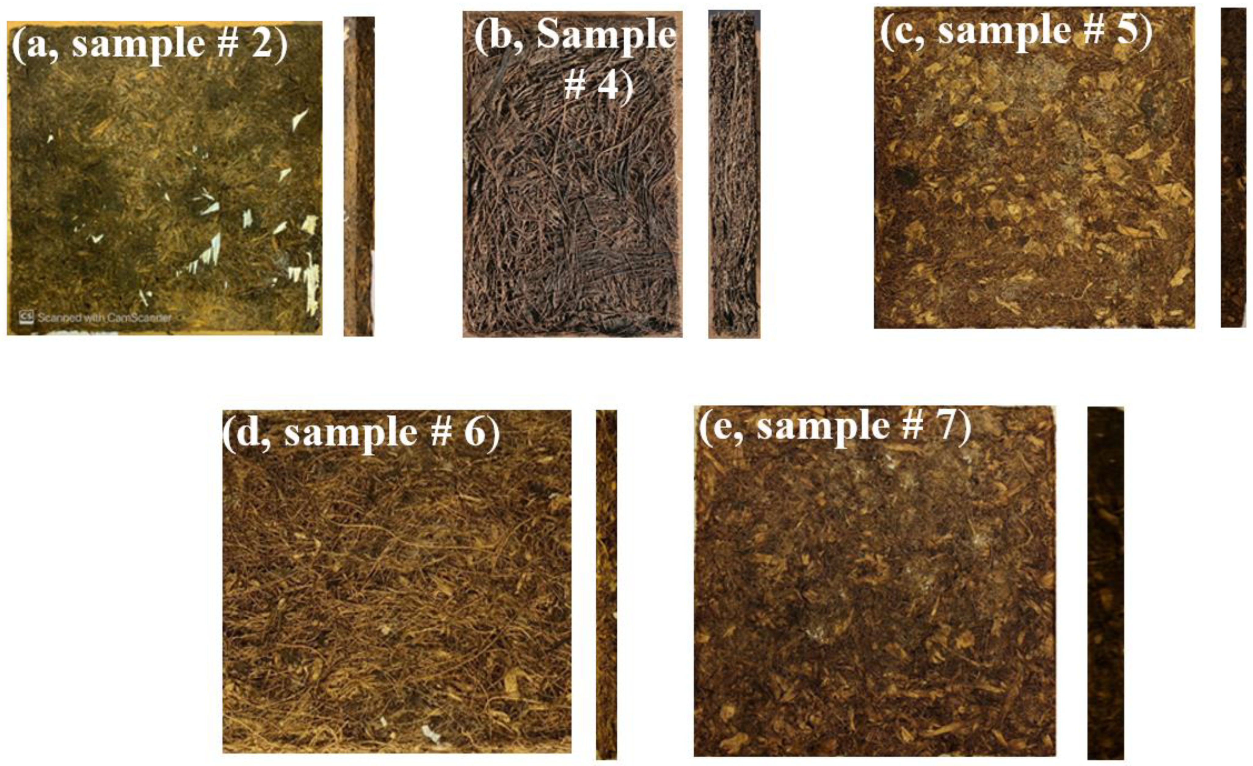 Polymers 16 01002 g005