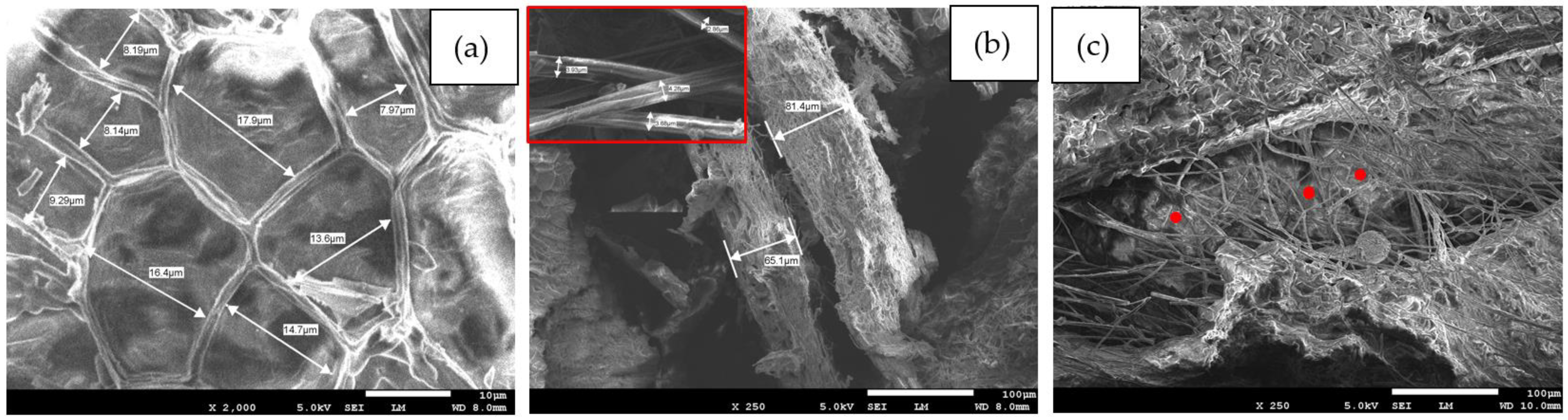 Polymers 16 01002 g009