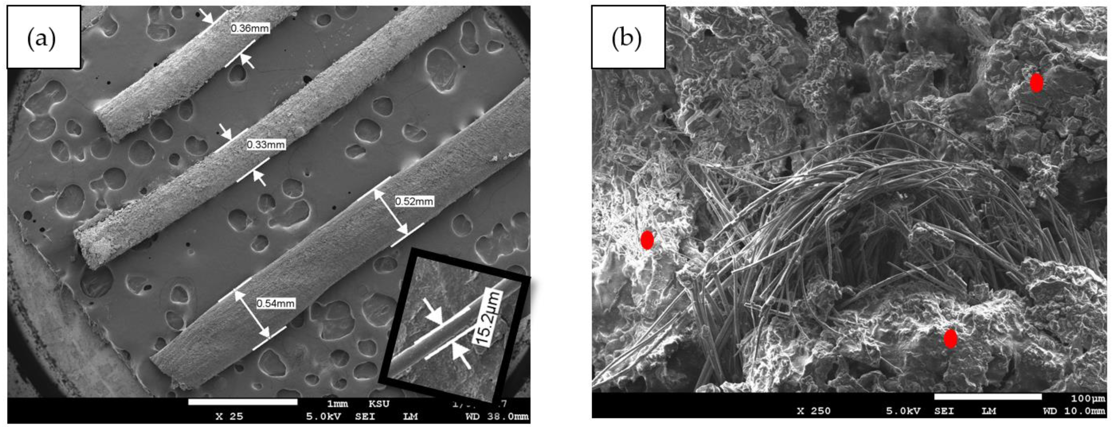 Polymers 16 01002 g010