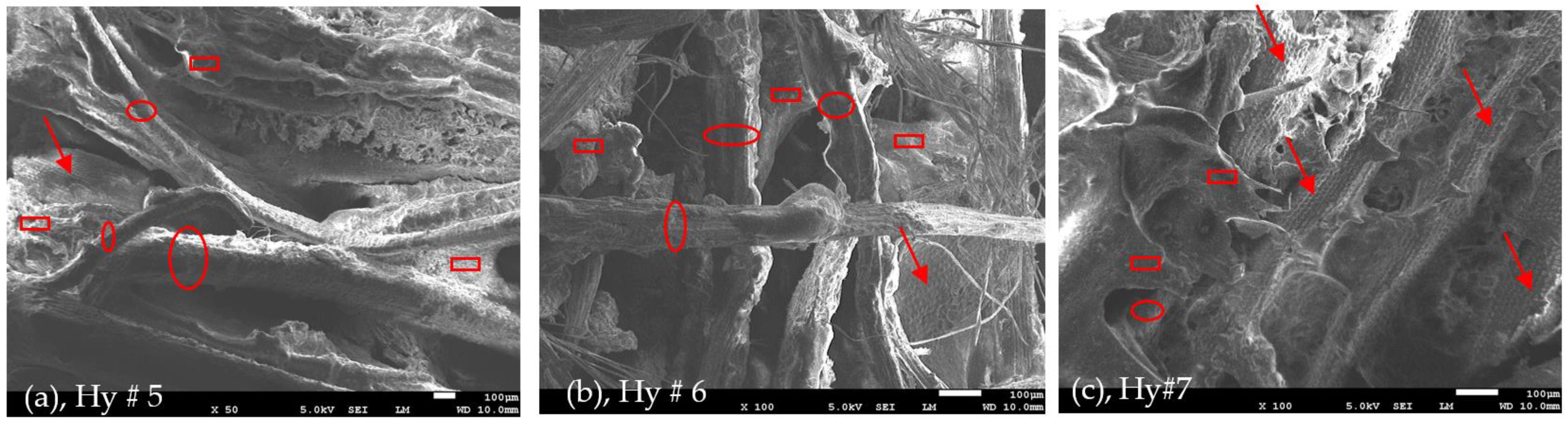 Polymers 16 01002 g011