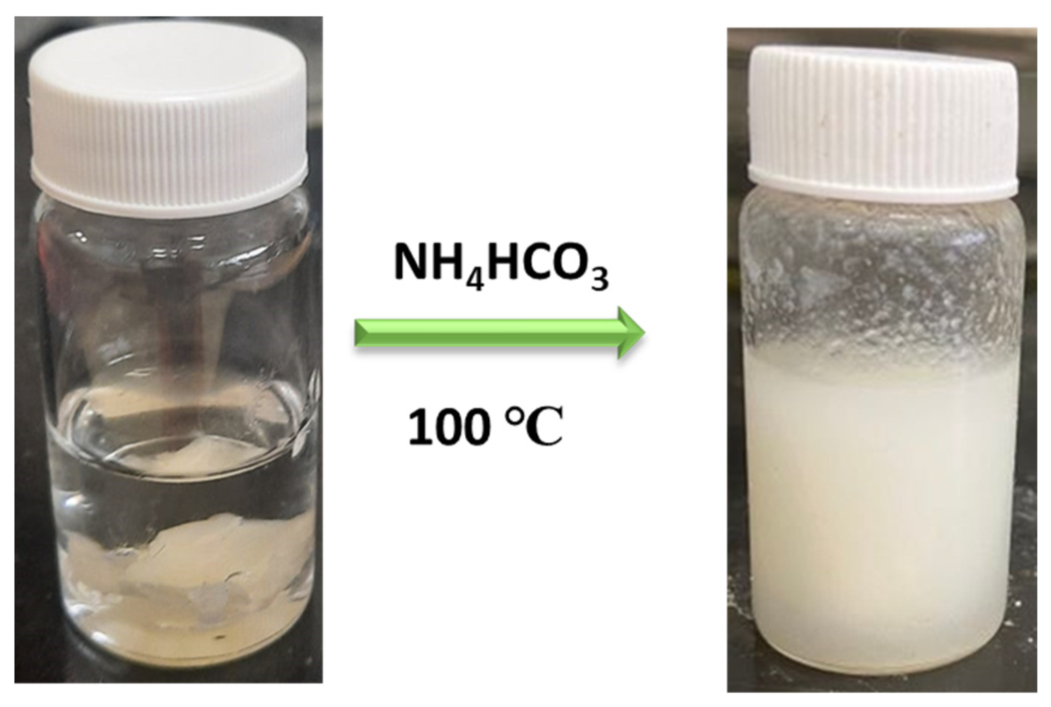 Polymers 16 01006 g002