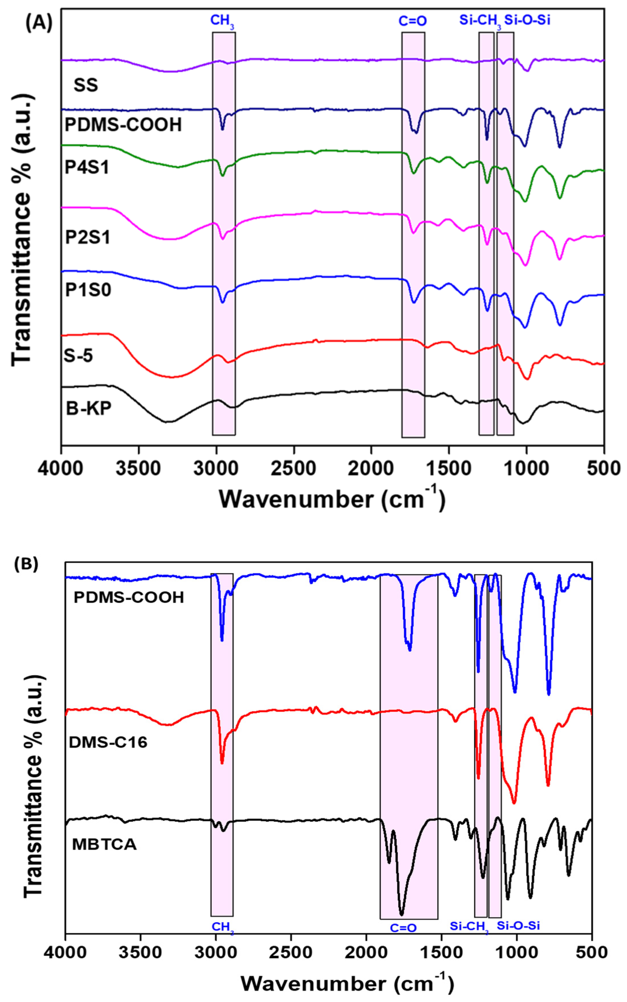 Polymers 16 01006 g003
