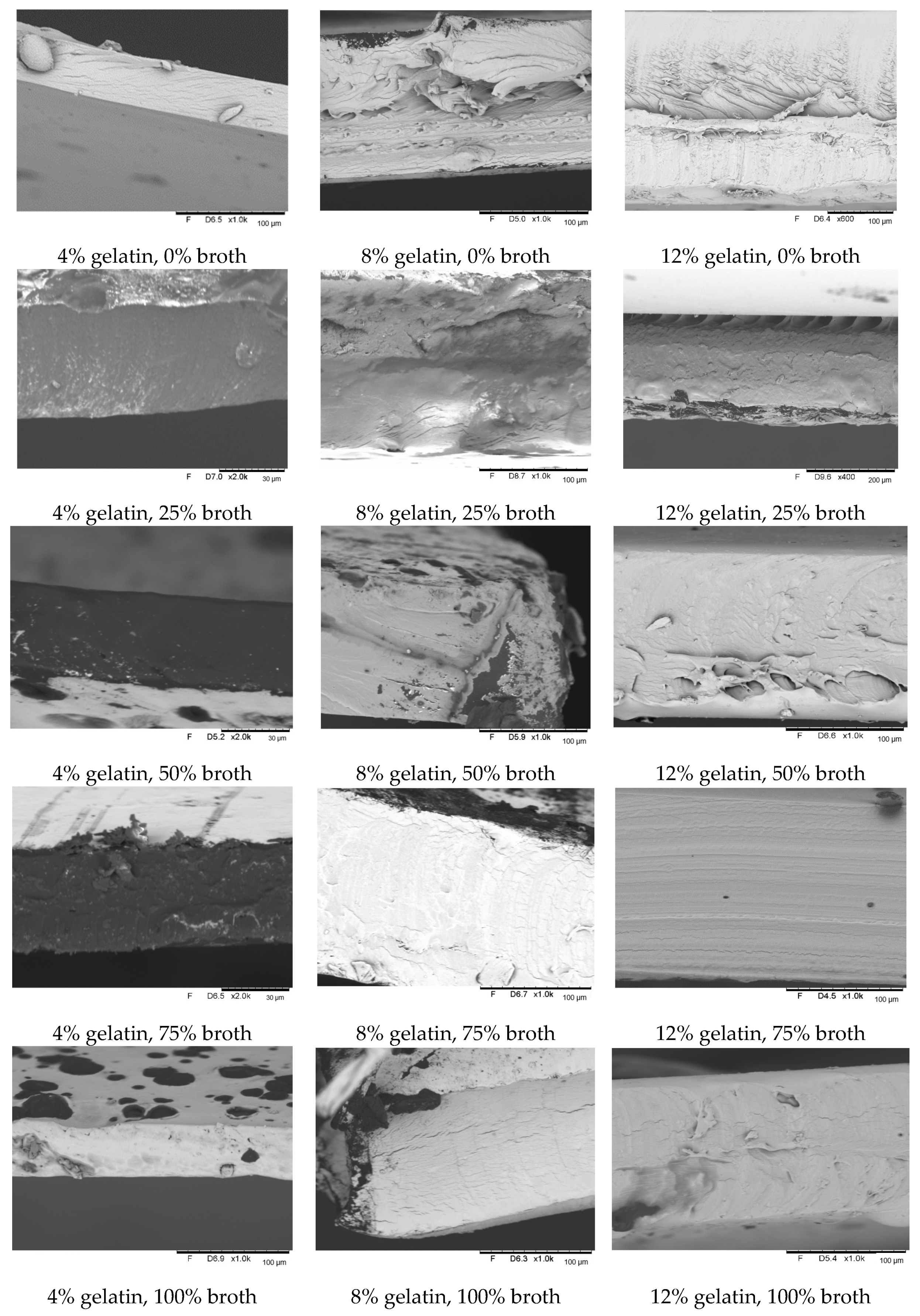 Polymers 16 01009 g010