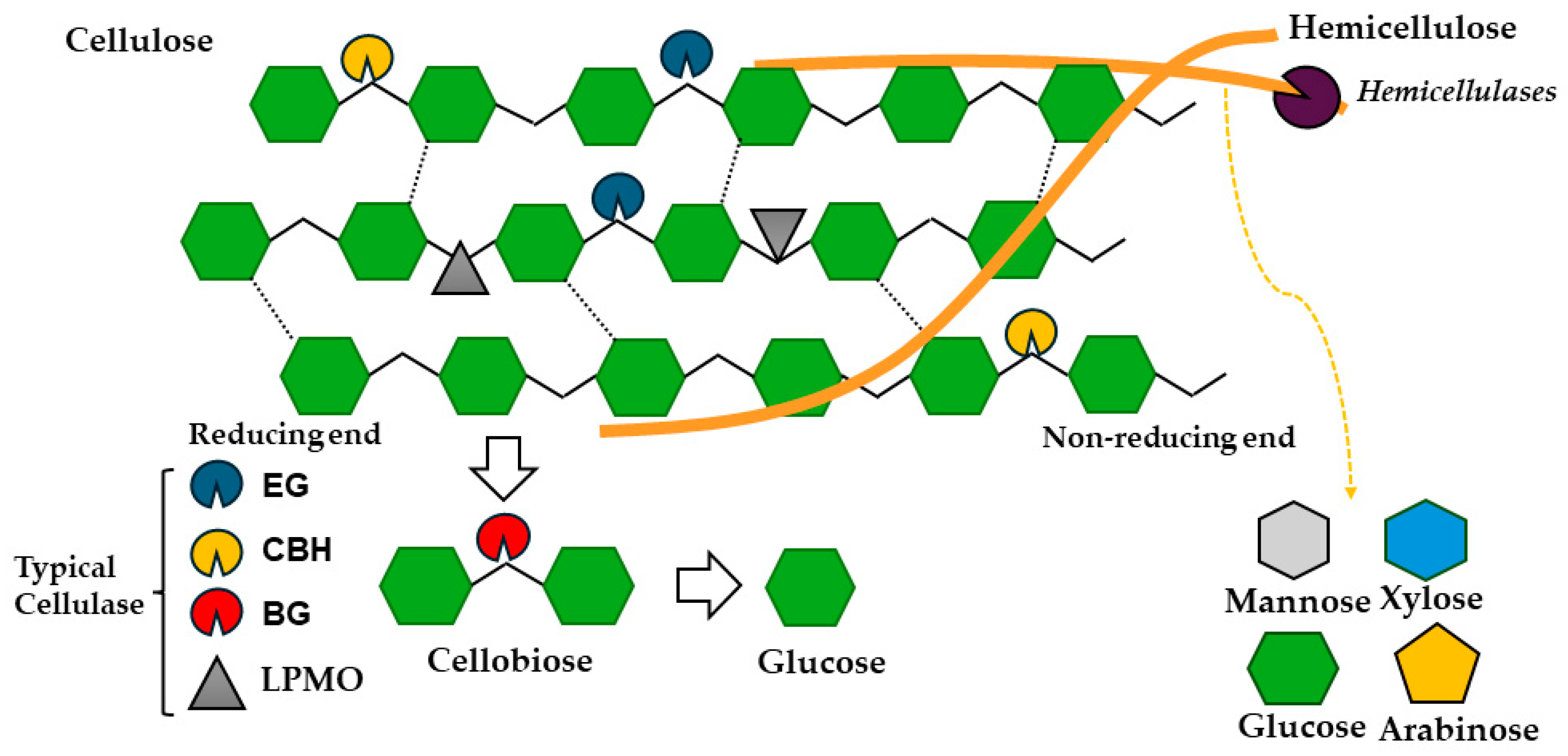 Polymers 16 01010 g003