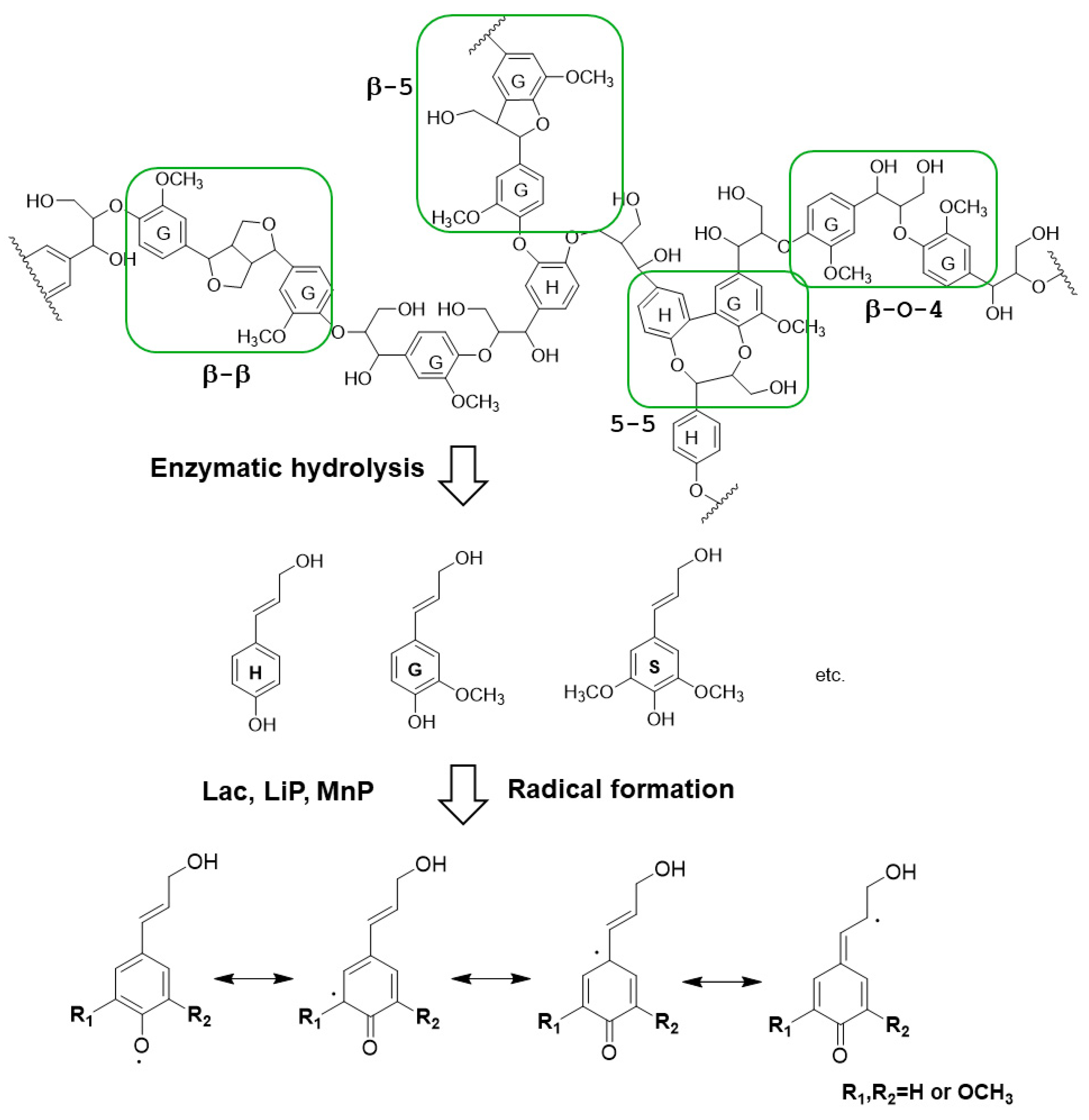 Polymers 16 01010 g005