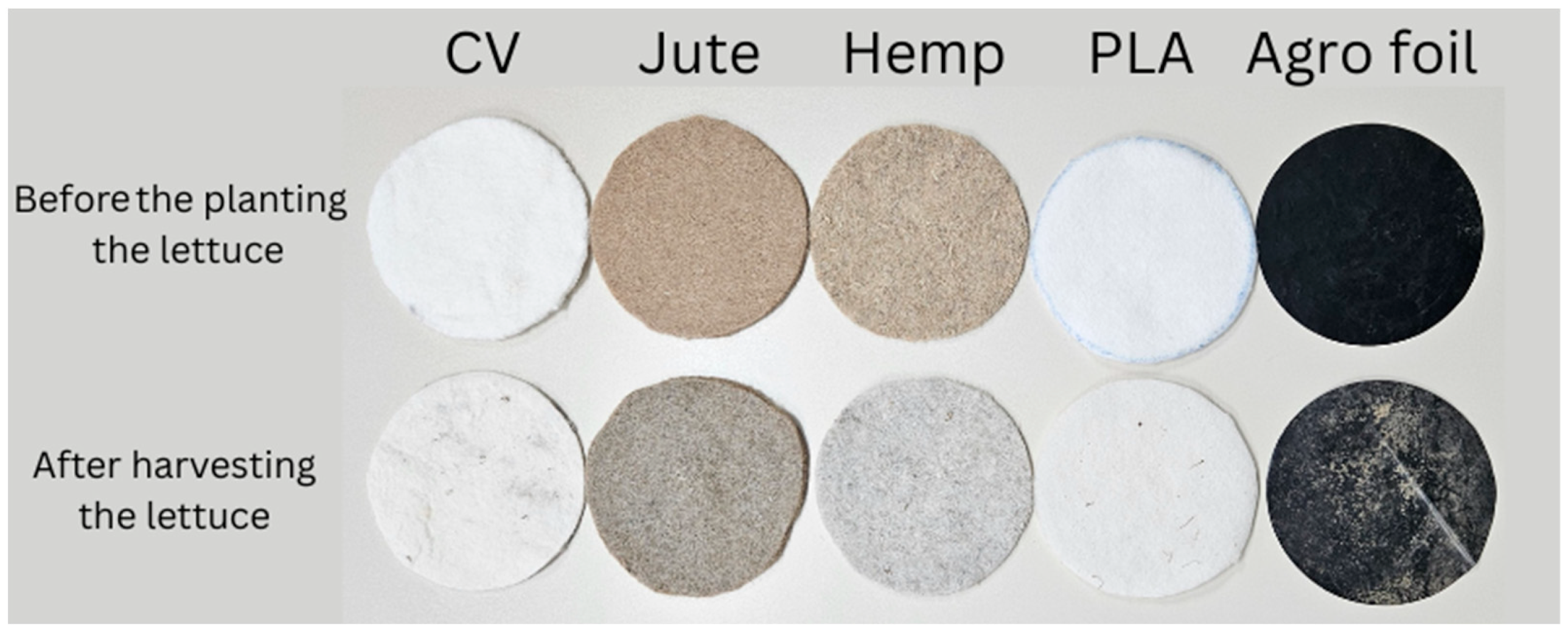 Polymers 16 01014 g004