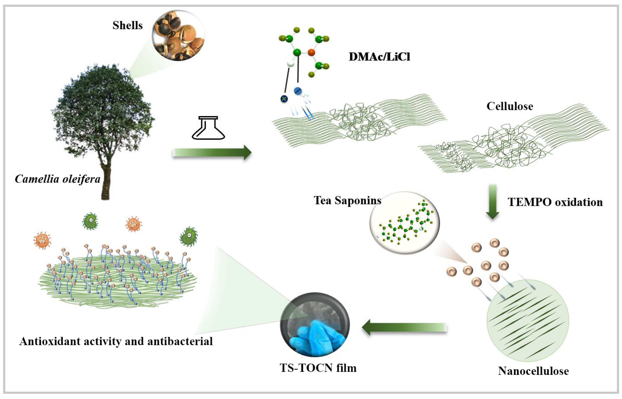 Polymers 16 01016 g001