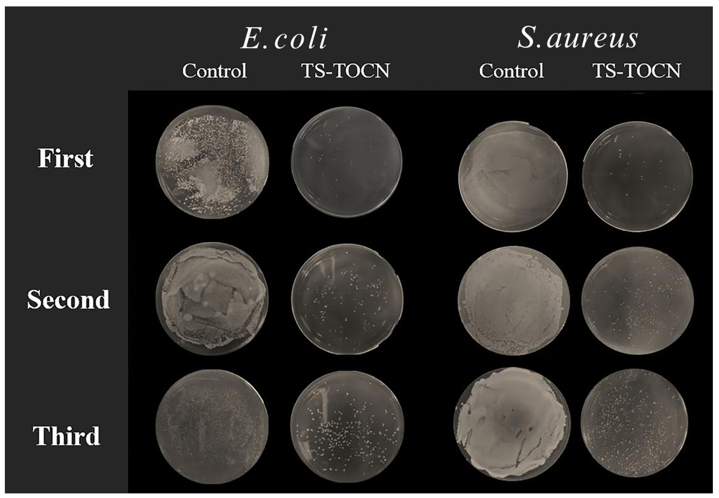 Polymers 16 01016 g006