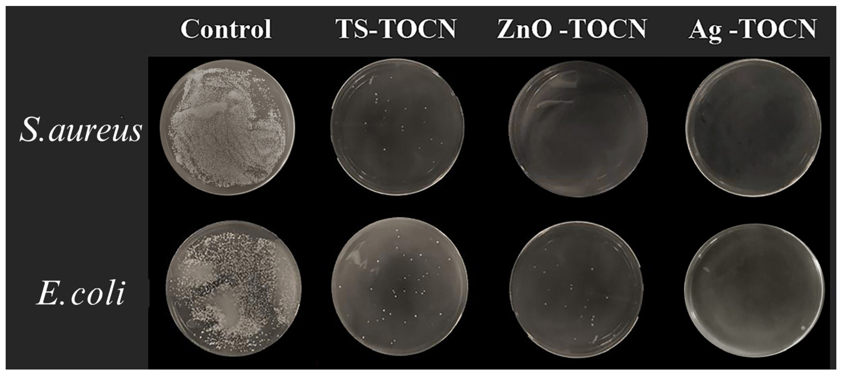 Polymers 16 01016 g007