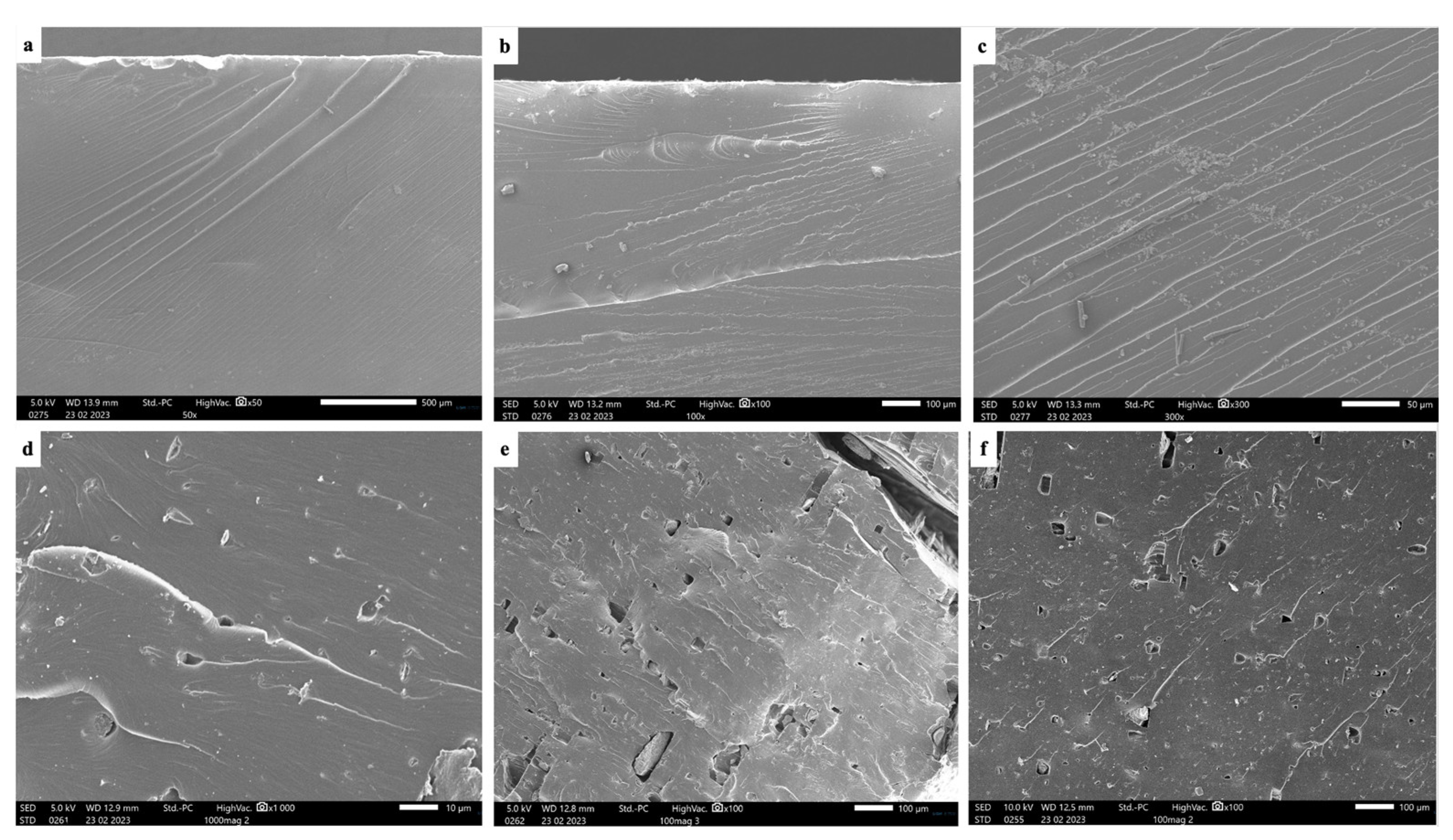 Polymers 16 01021 g008