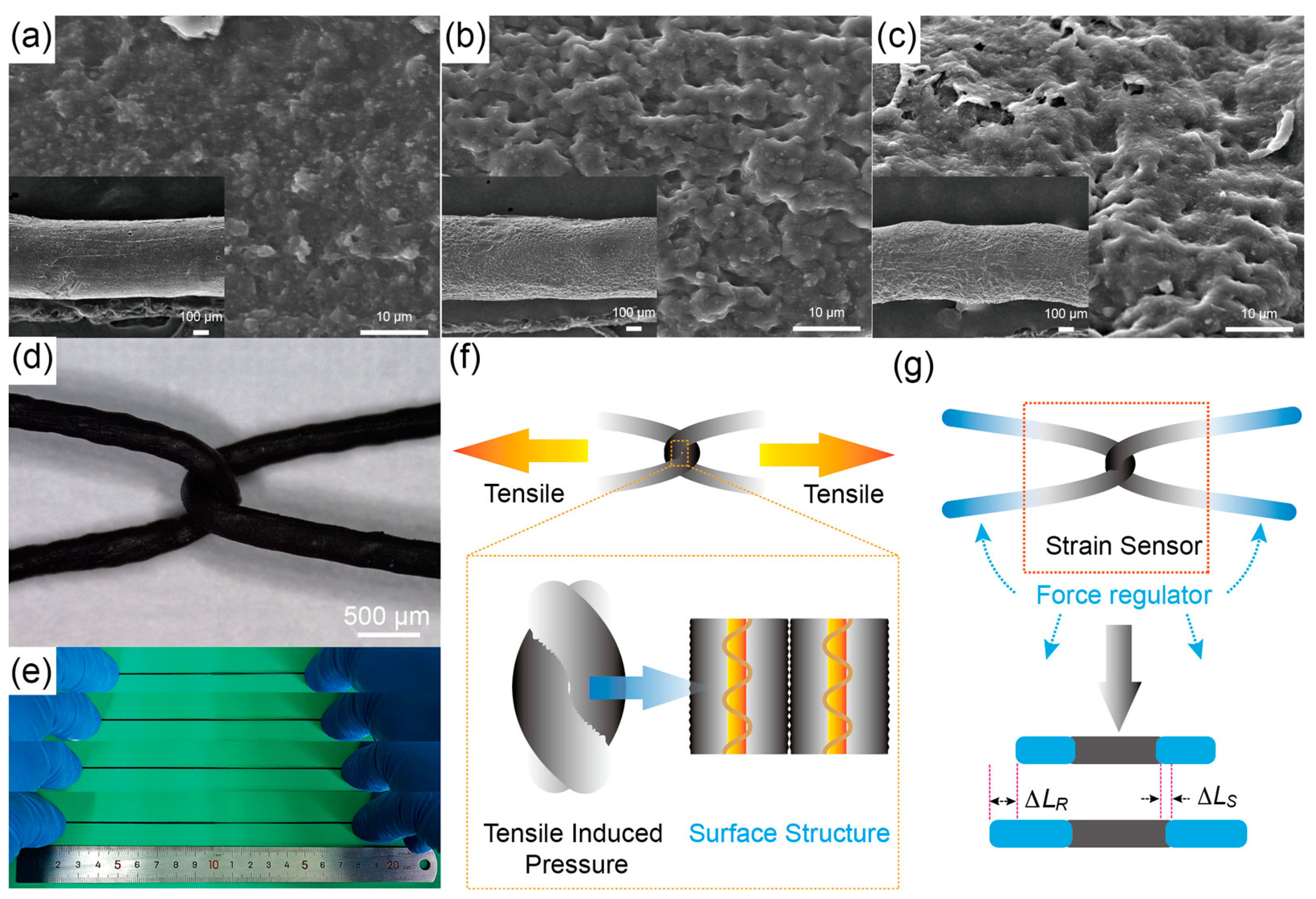 Polymers 16 01023 g002