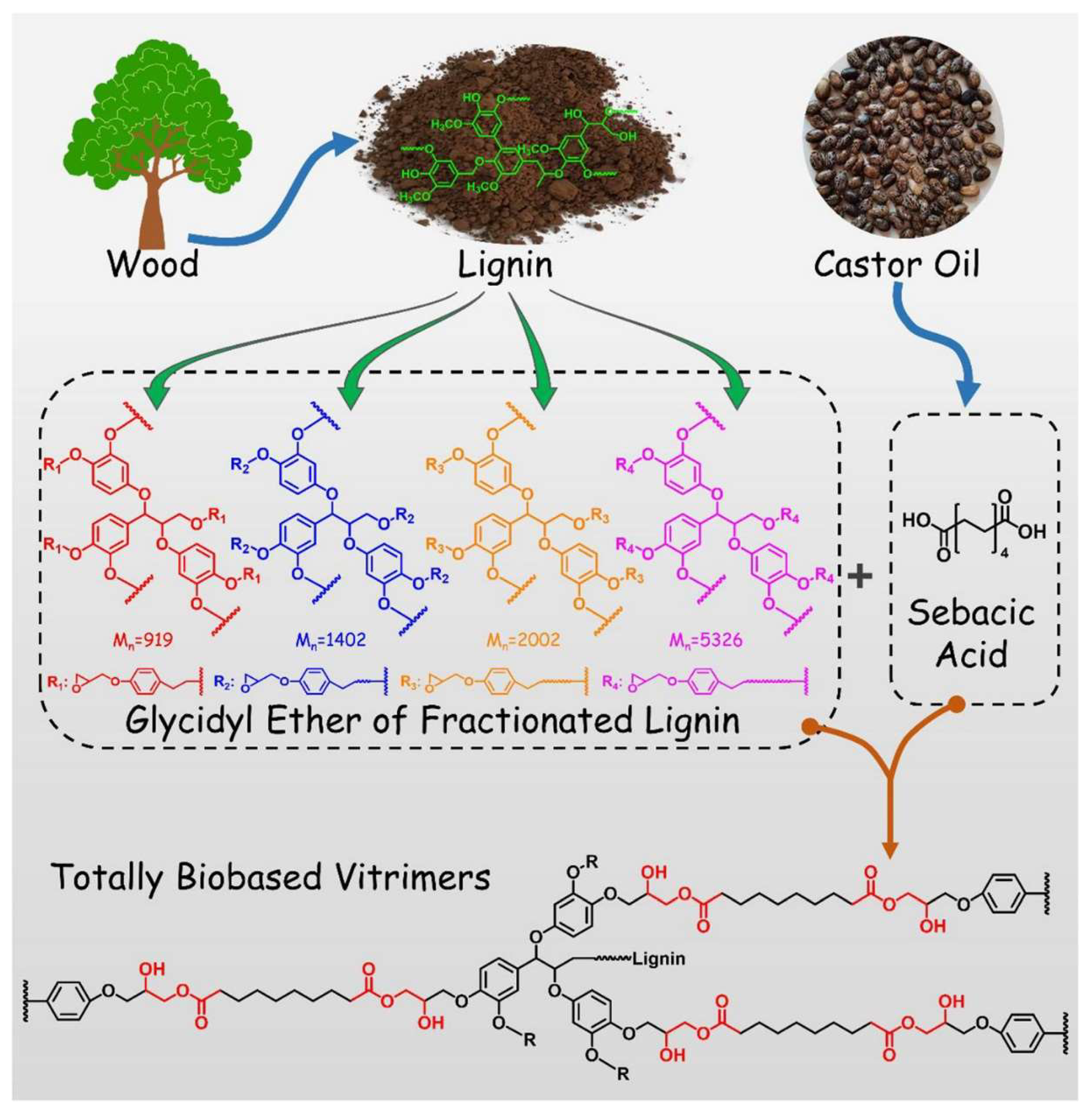 Polymers 16 01025 g007
