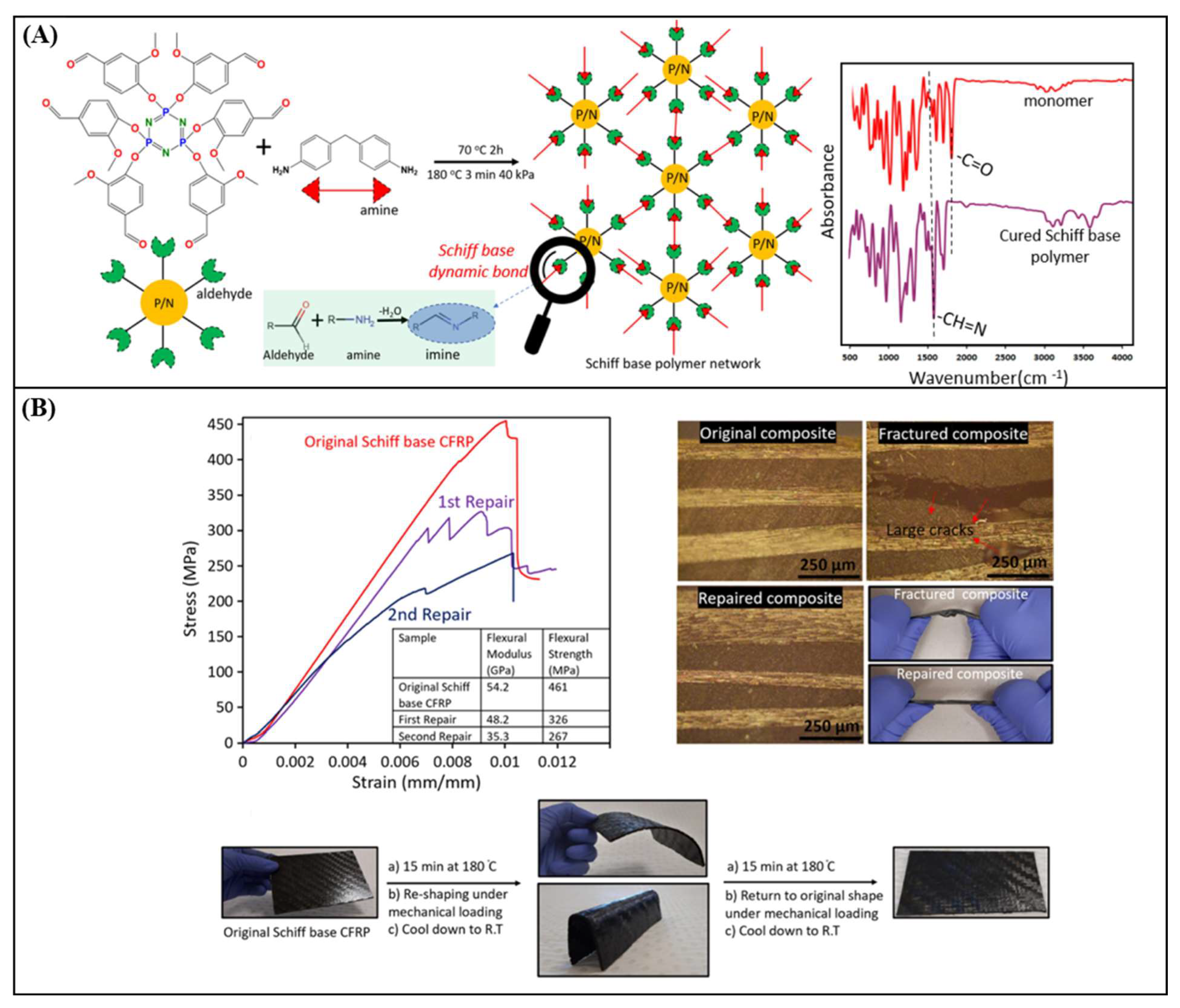 Polymers 16 01025 g012
