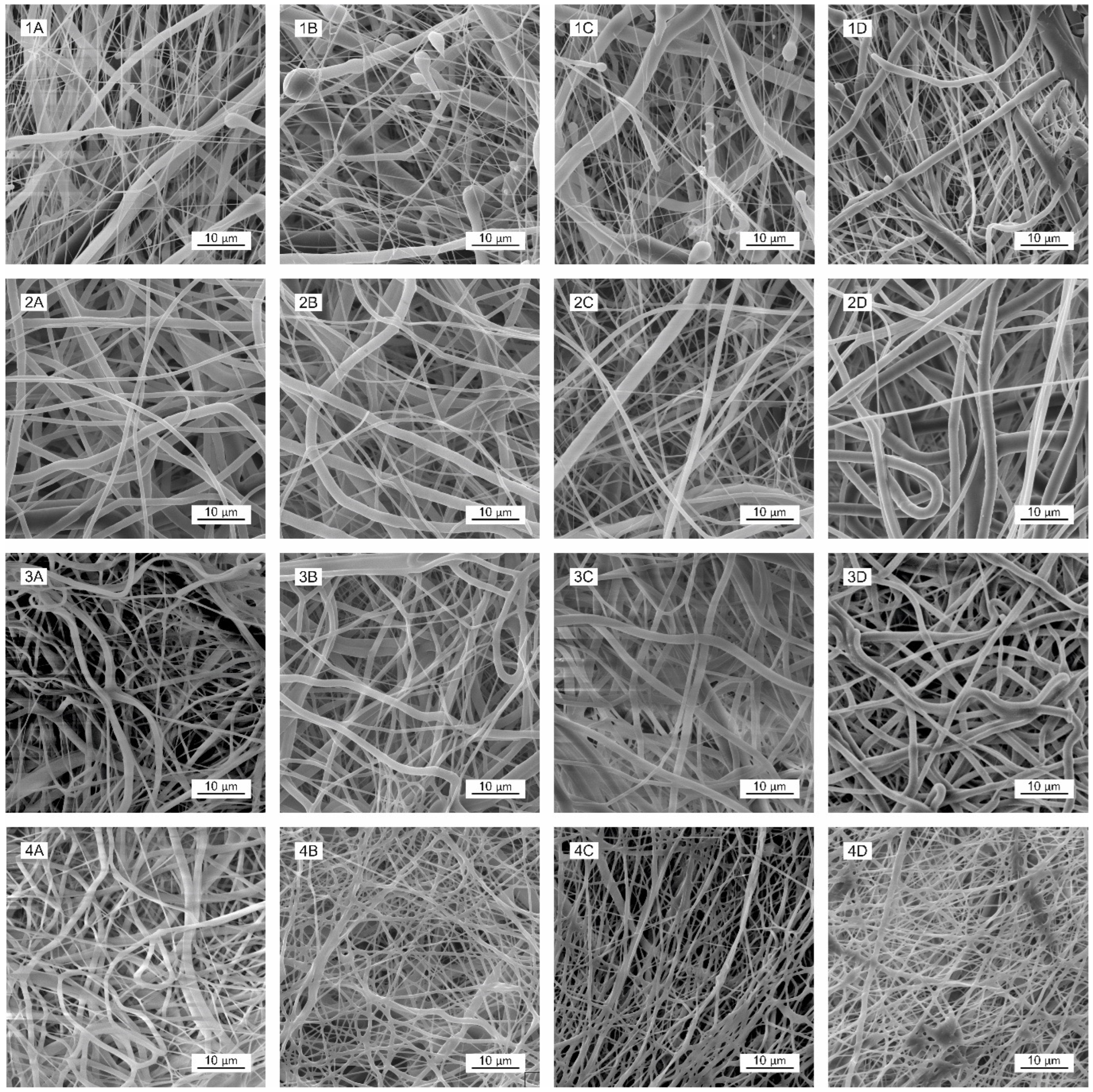 Polymers 16 01029 g002