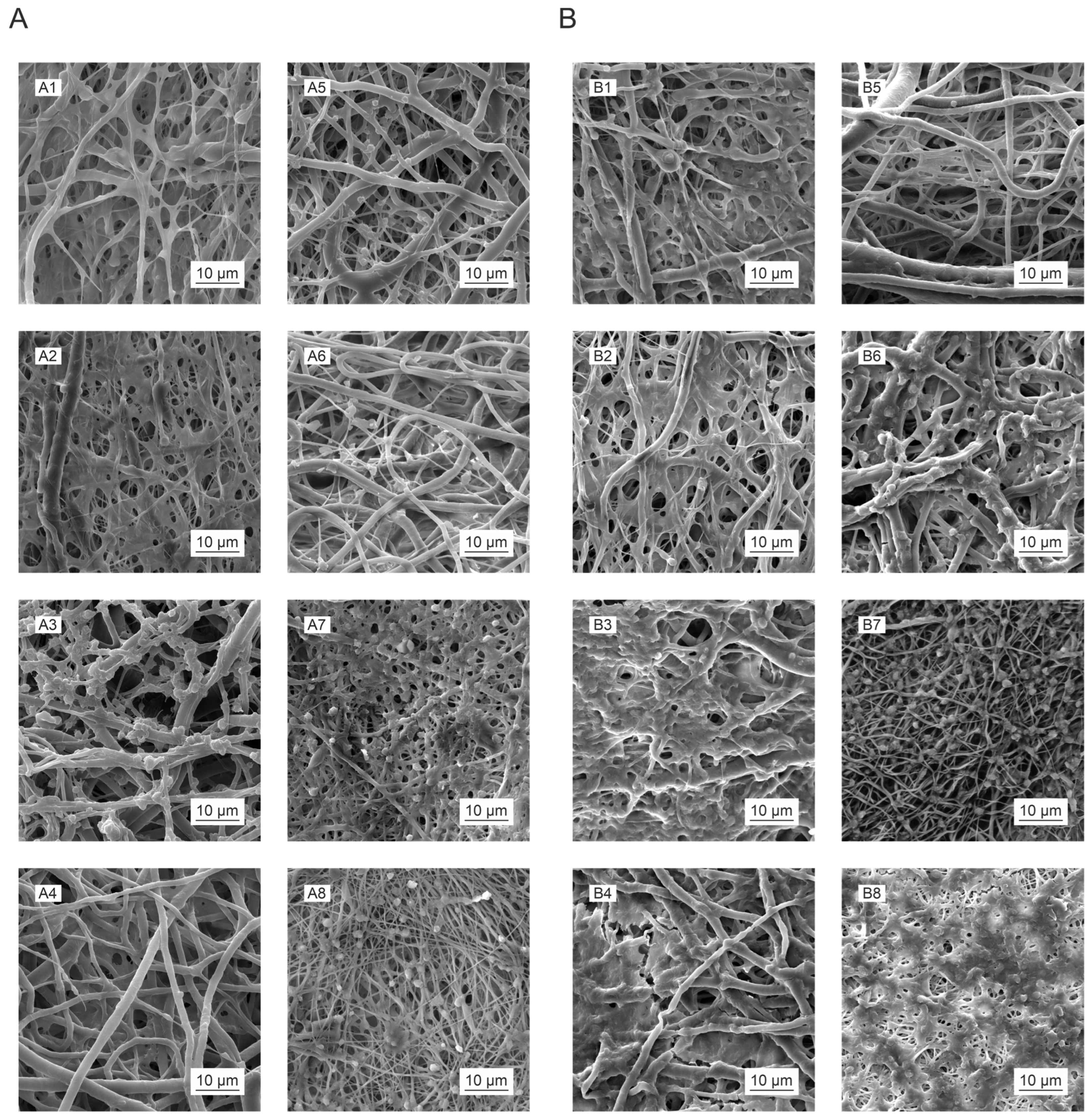Polymers 16 01029 g012