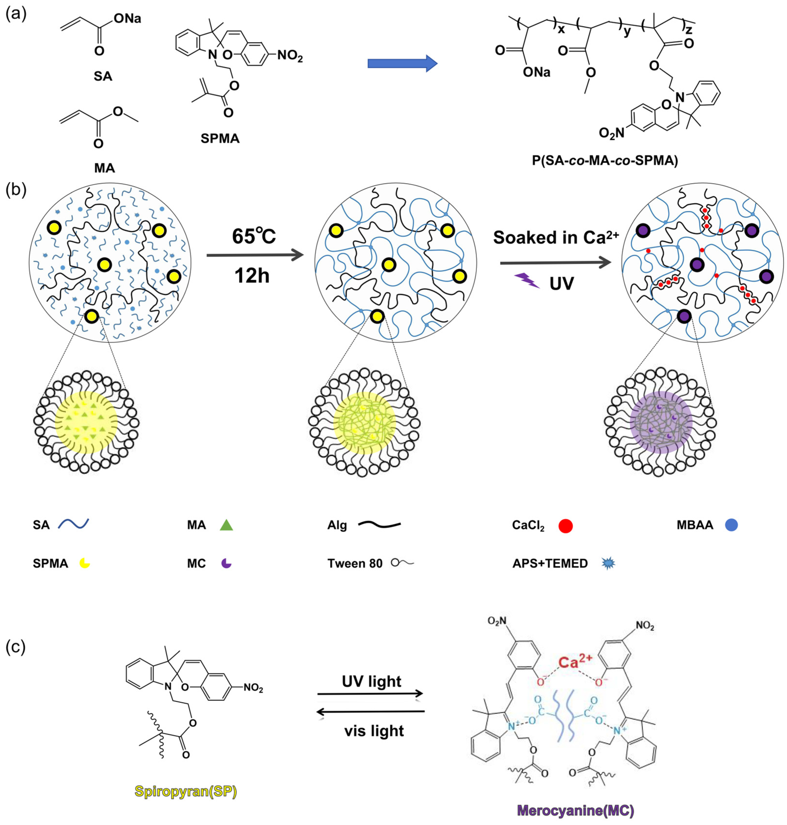Polymers 16 01031 g001